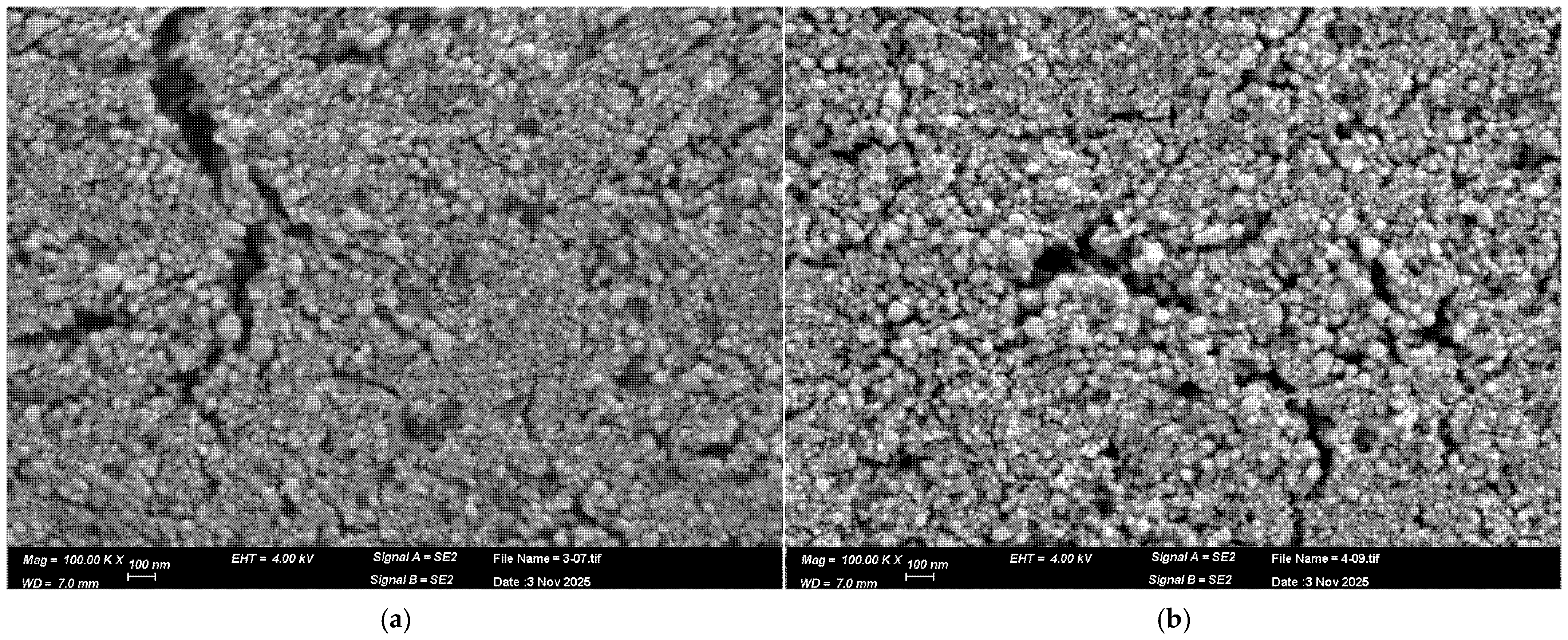 Chemosensors 13 00407 g003