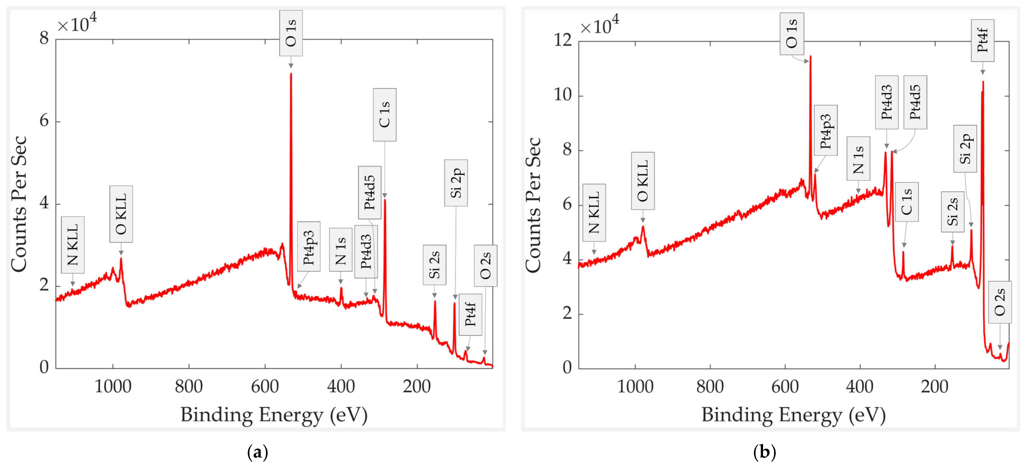 Chemosensors 13 00407 g007