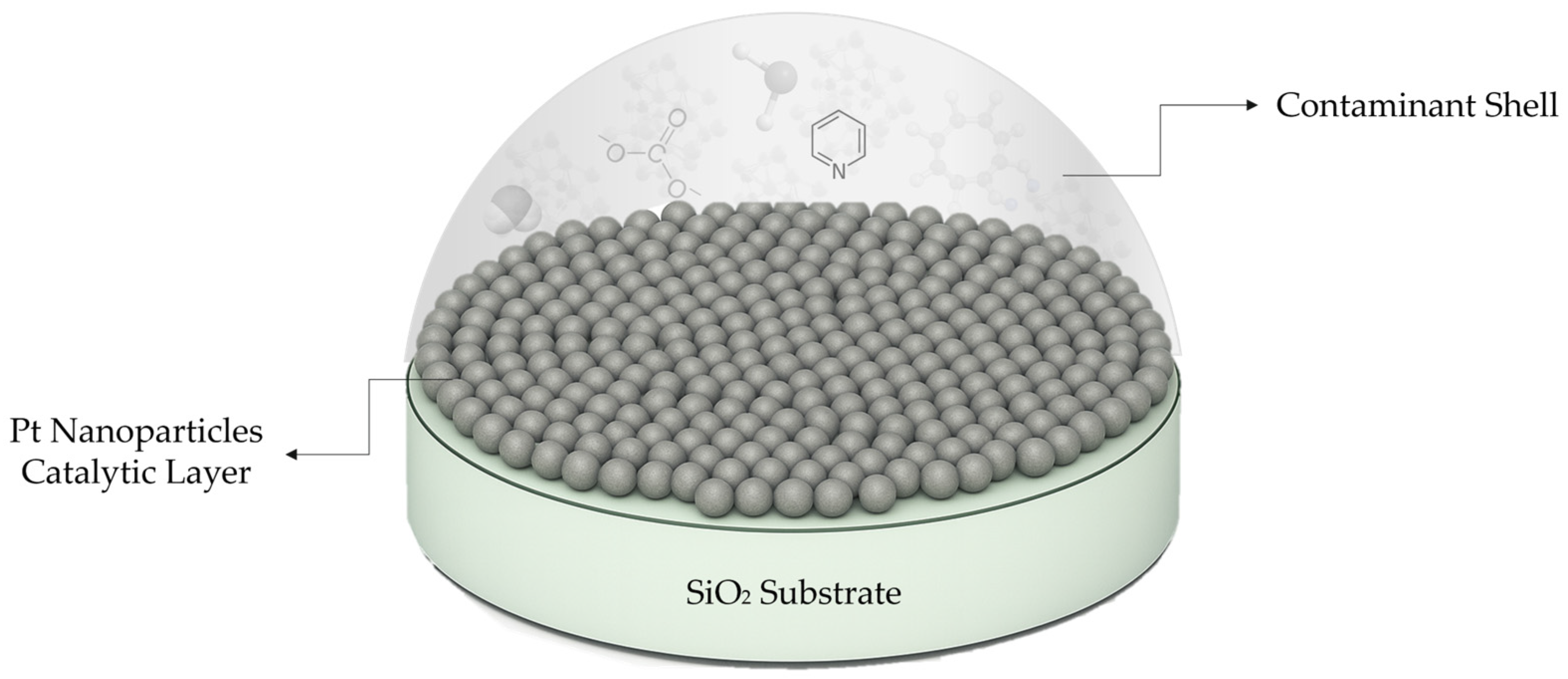 Chemosensors 13 00407 g018