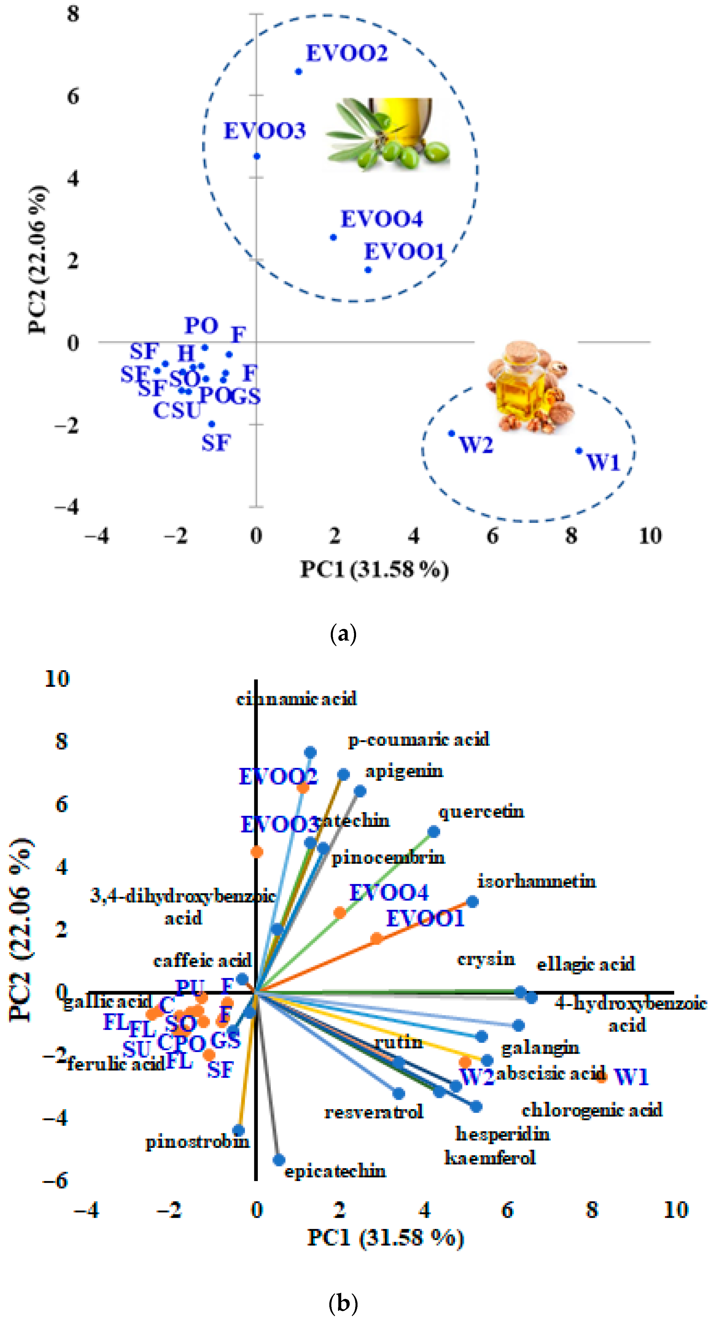 Chemosensors 13 00408 g005
