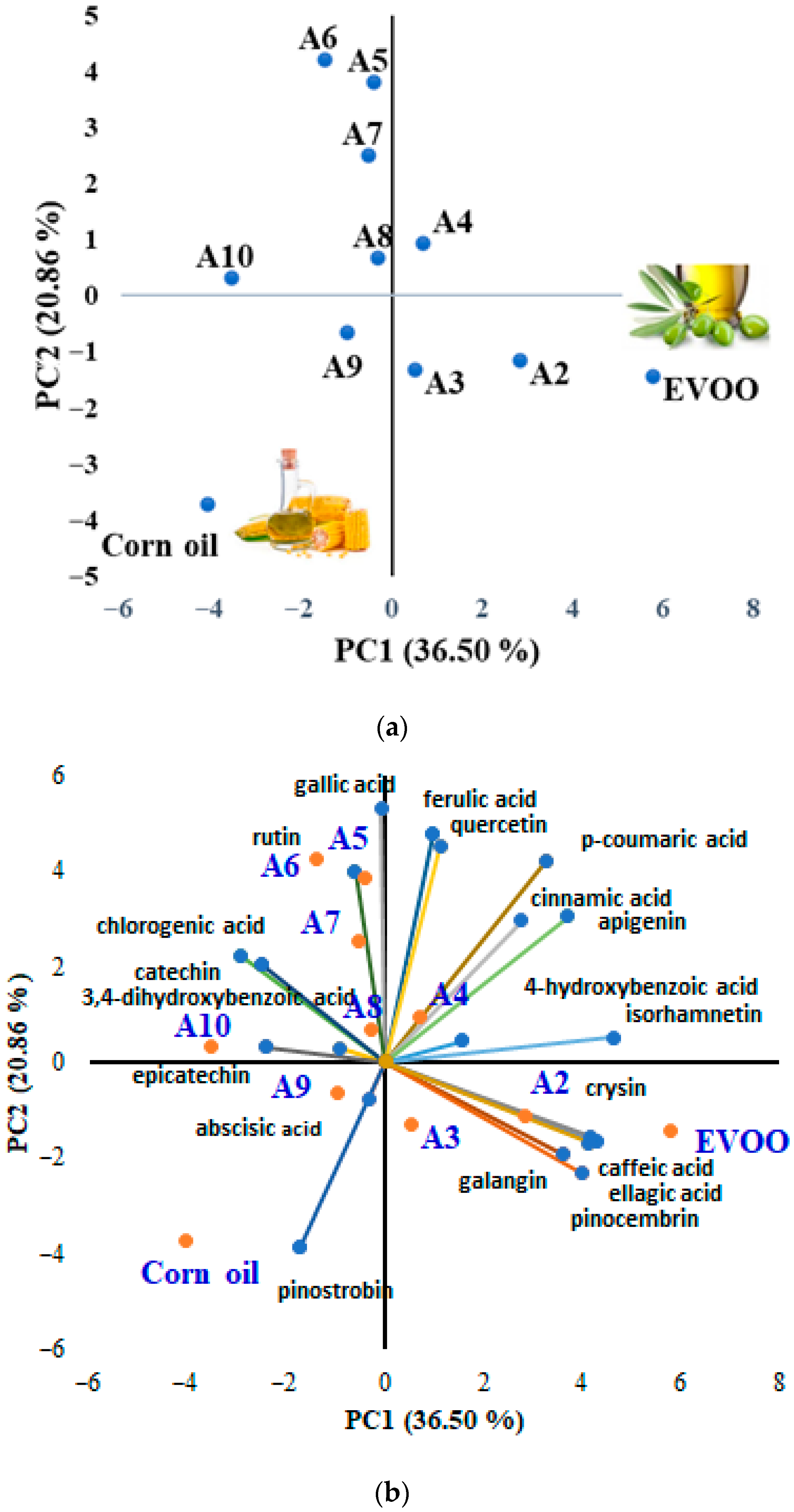 Chemosensors 13 00408 g007