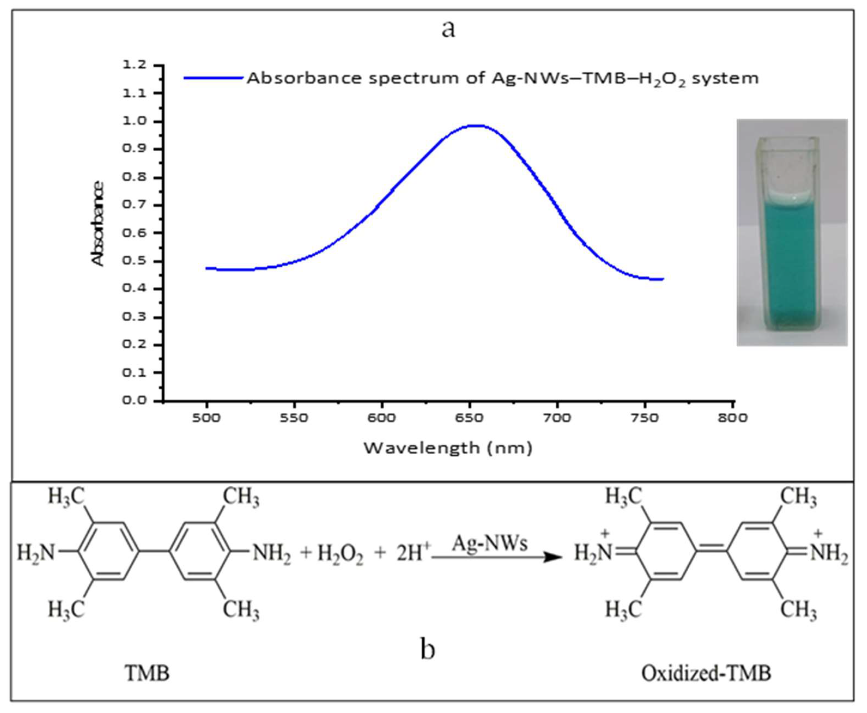 Chemosensors 13 00415 g002 Chemosensors 13 00415 g002