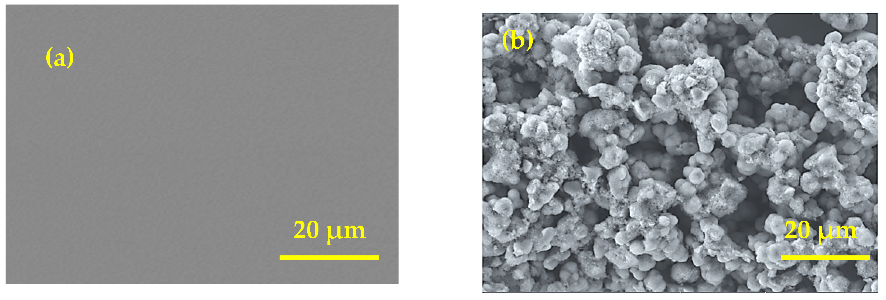 Chemosensors 14 00002 g005