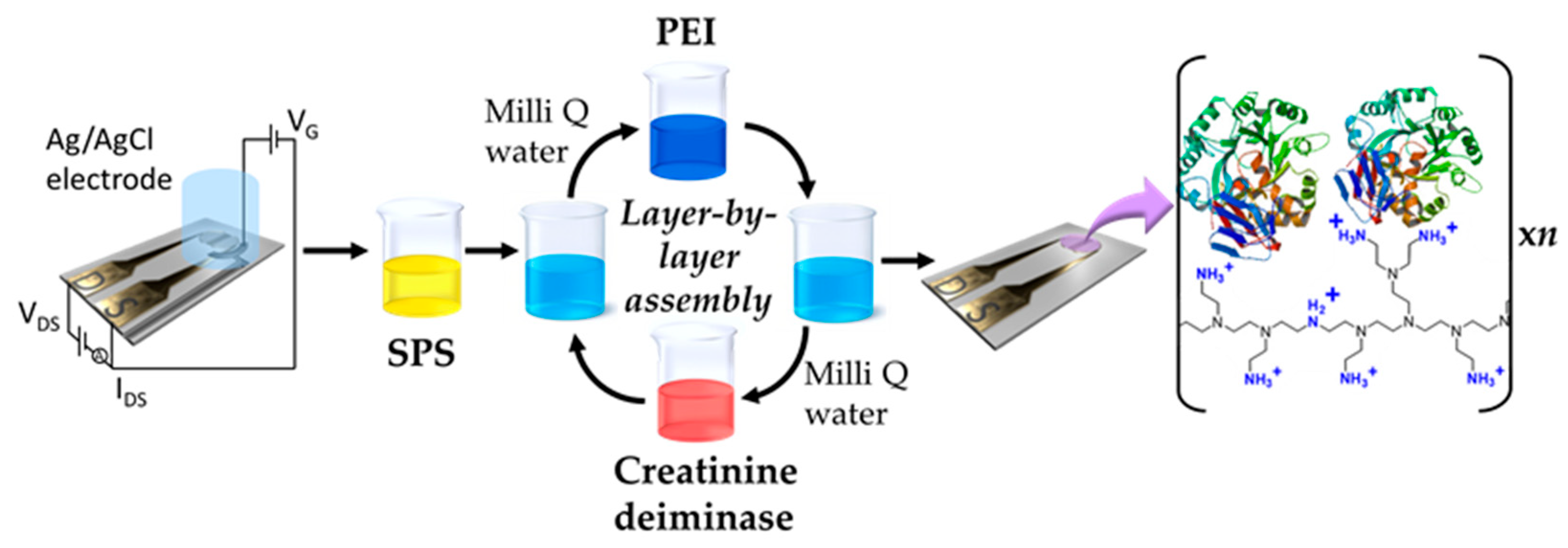 Chemosensors 14 00003 g002