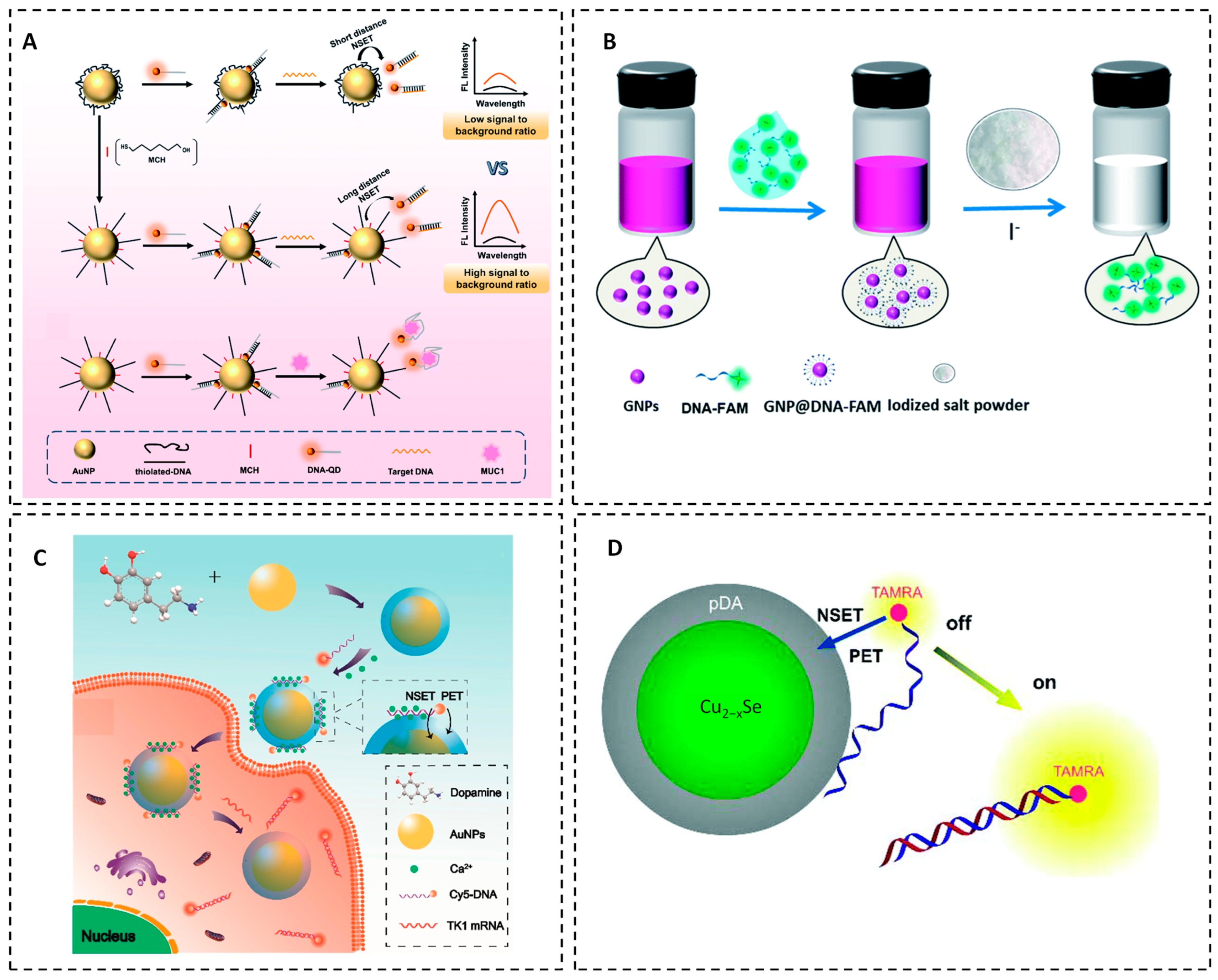 Chemosensors 14 00011 g002