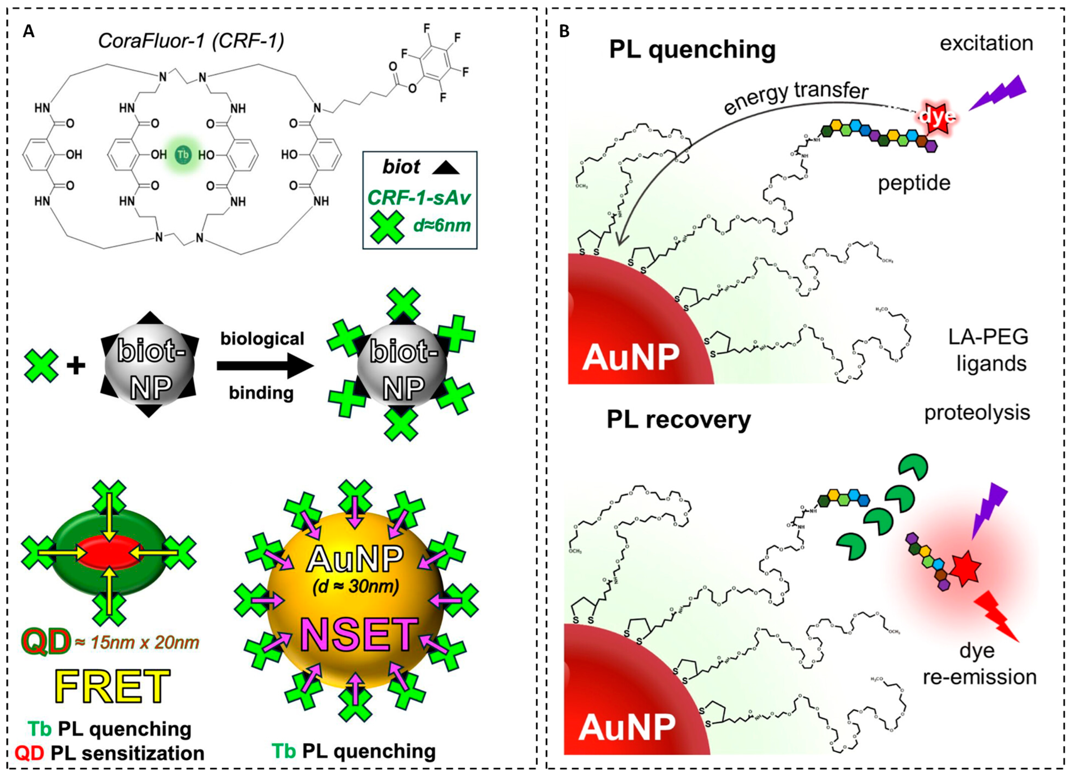 Chemosensors 14 00011 g003