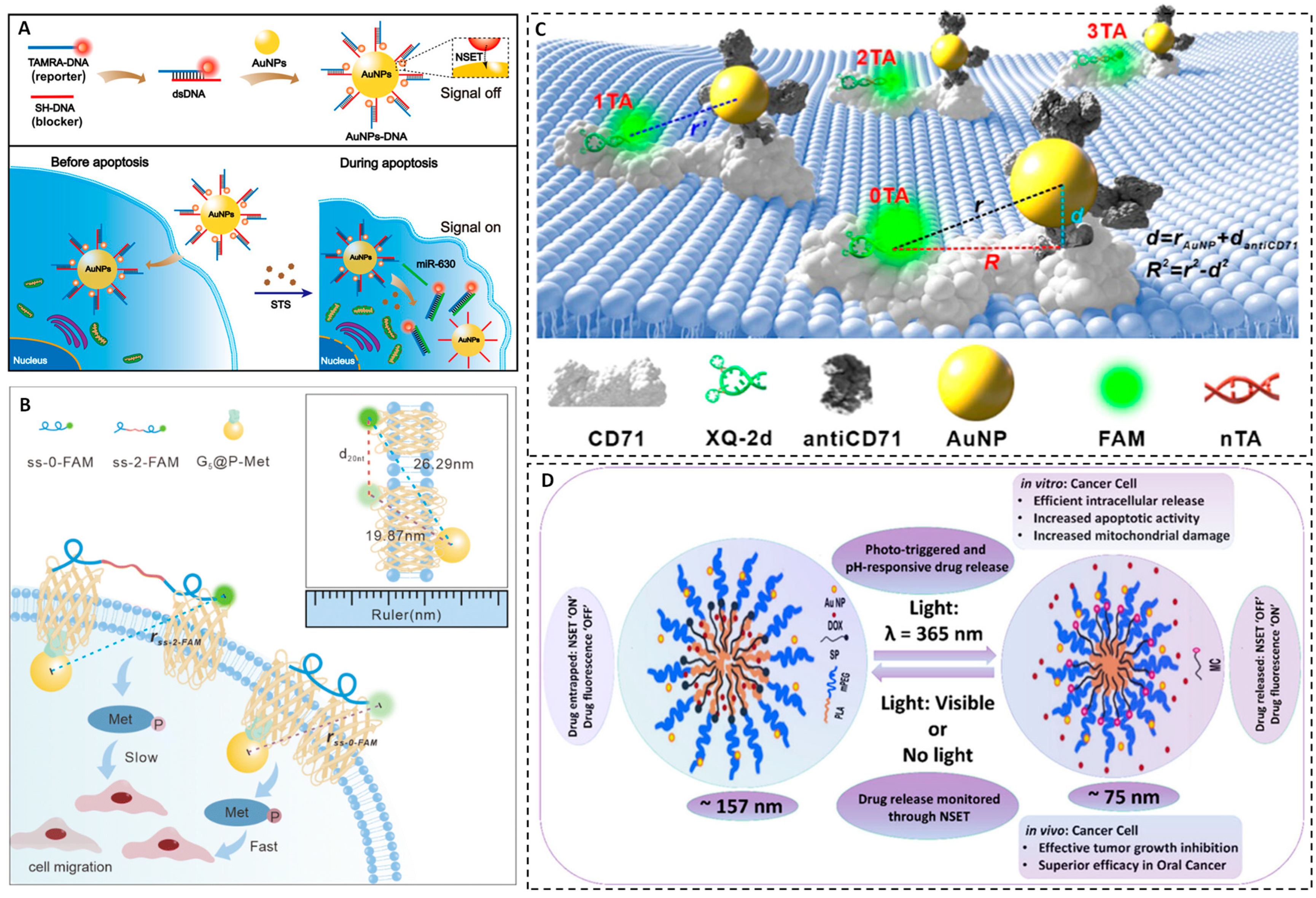 Chemosensors 14 00011 g005