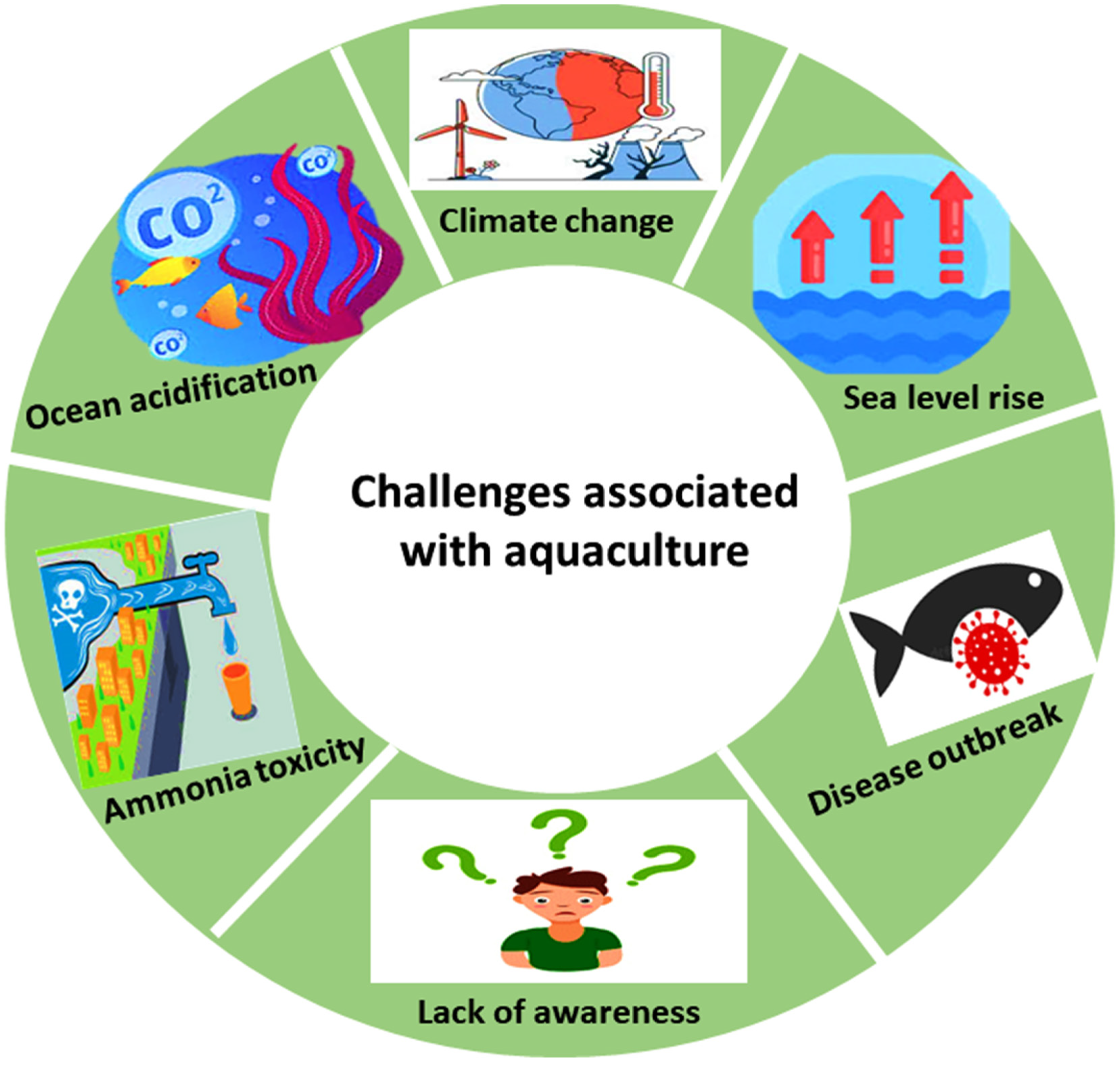 Chemosensors 14 00013 g002
