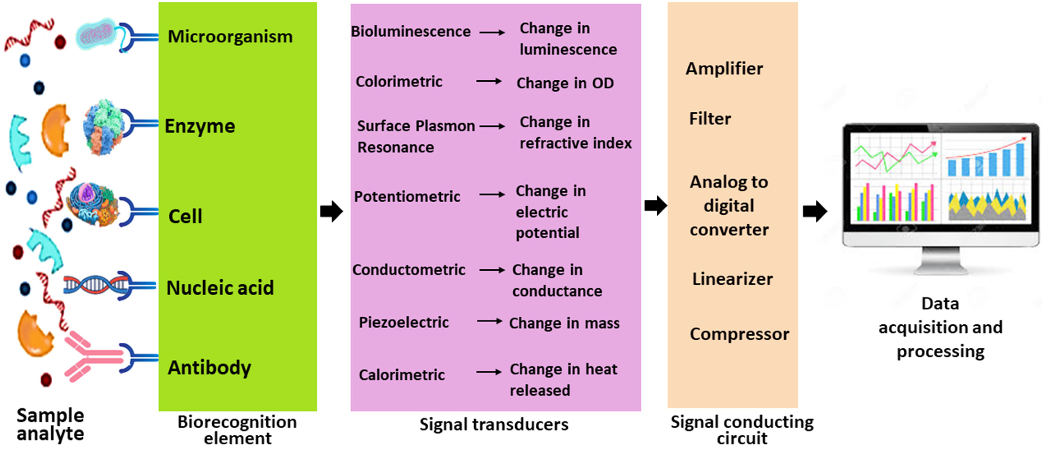 Chemosensors 14 00013 g003