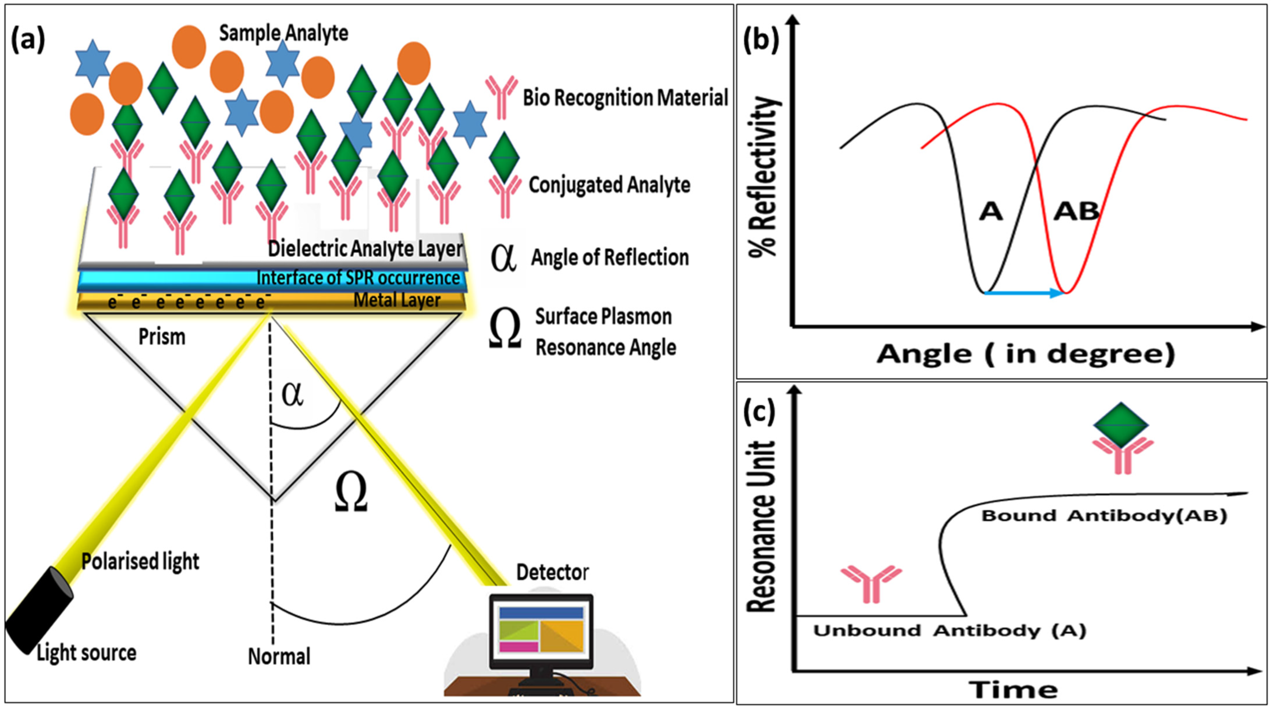 Chemosensors 14 00013 g006