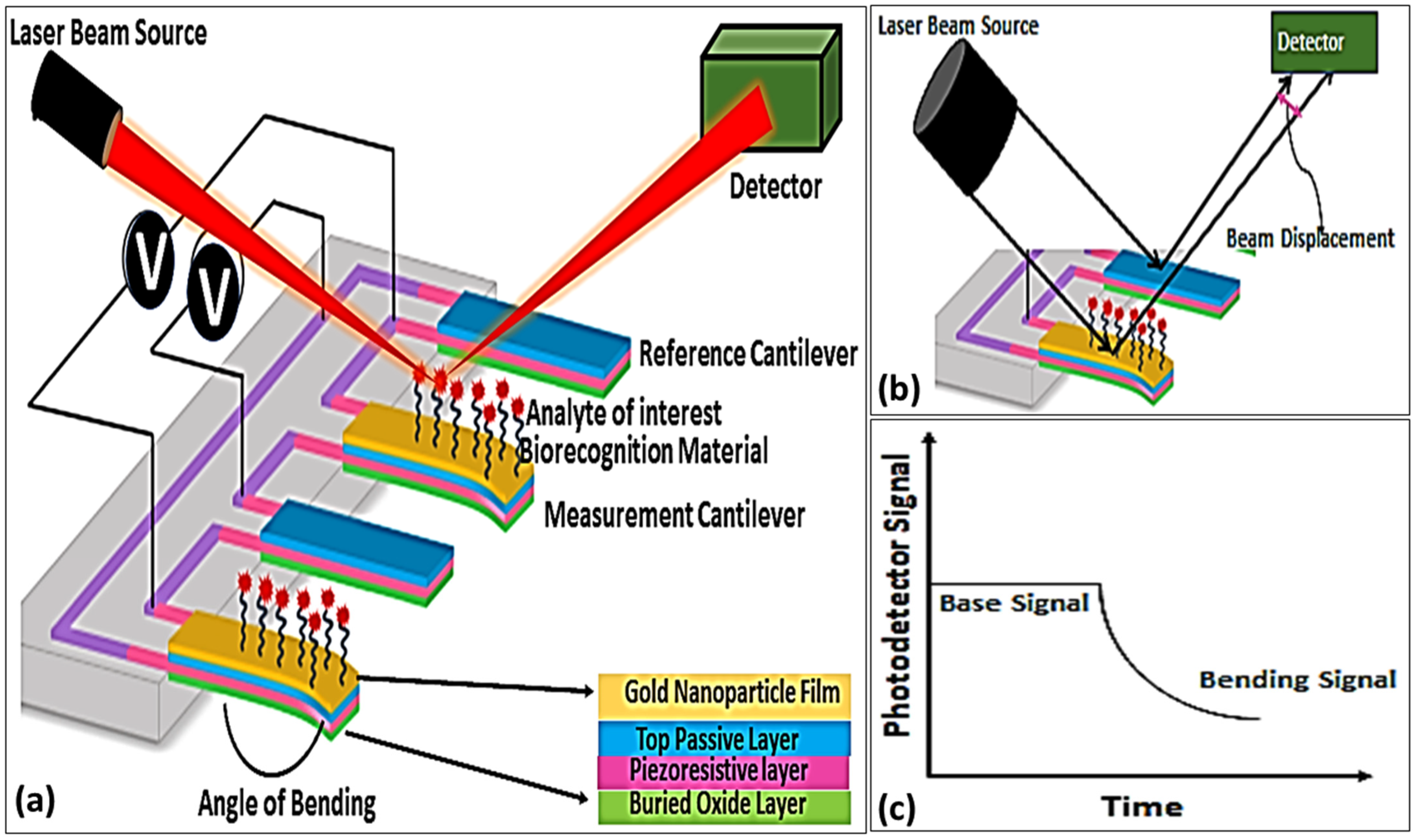 Chemosensors 14 00013 g007