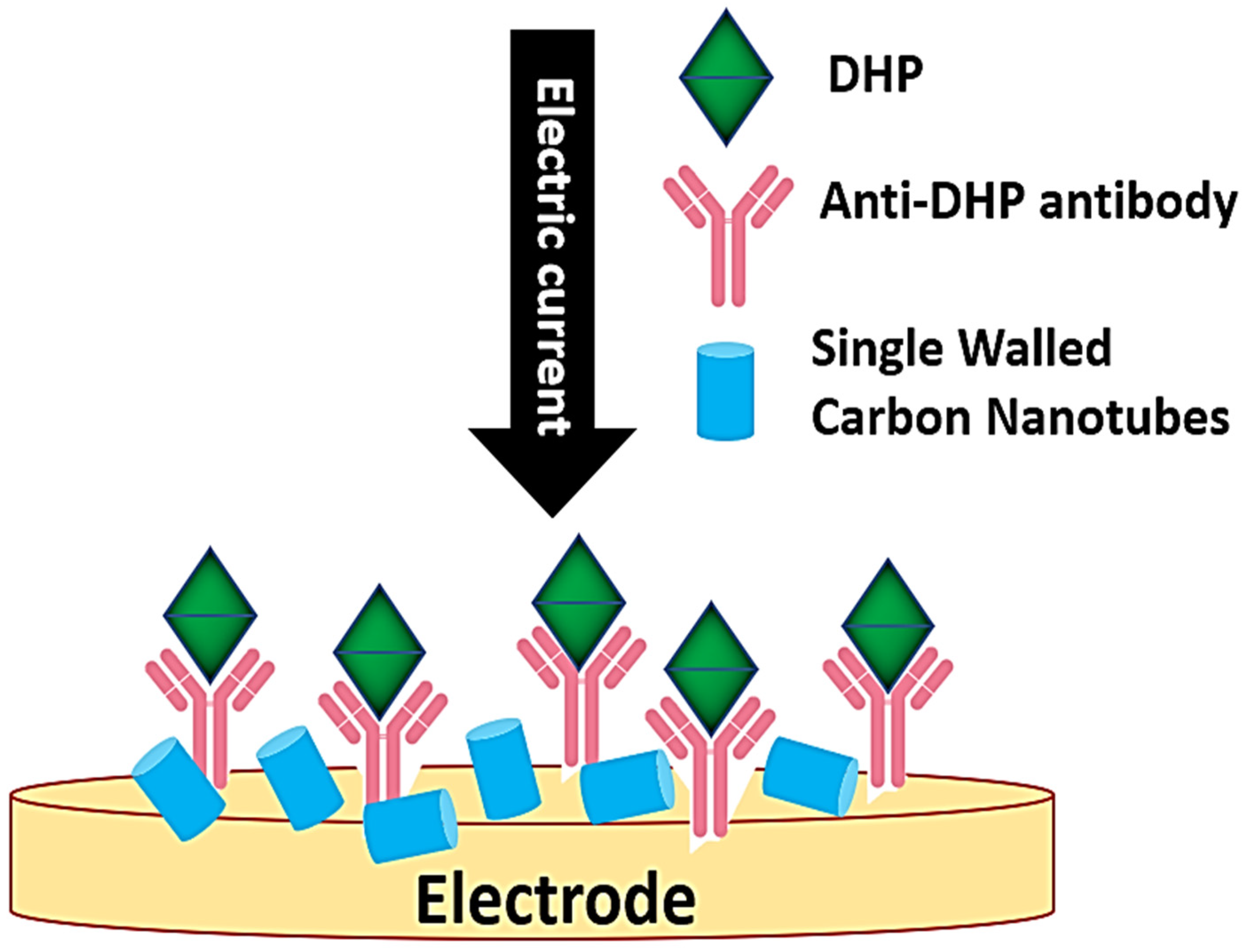 Chemosensors 14 00013 g009