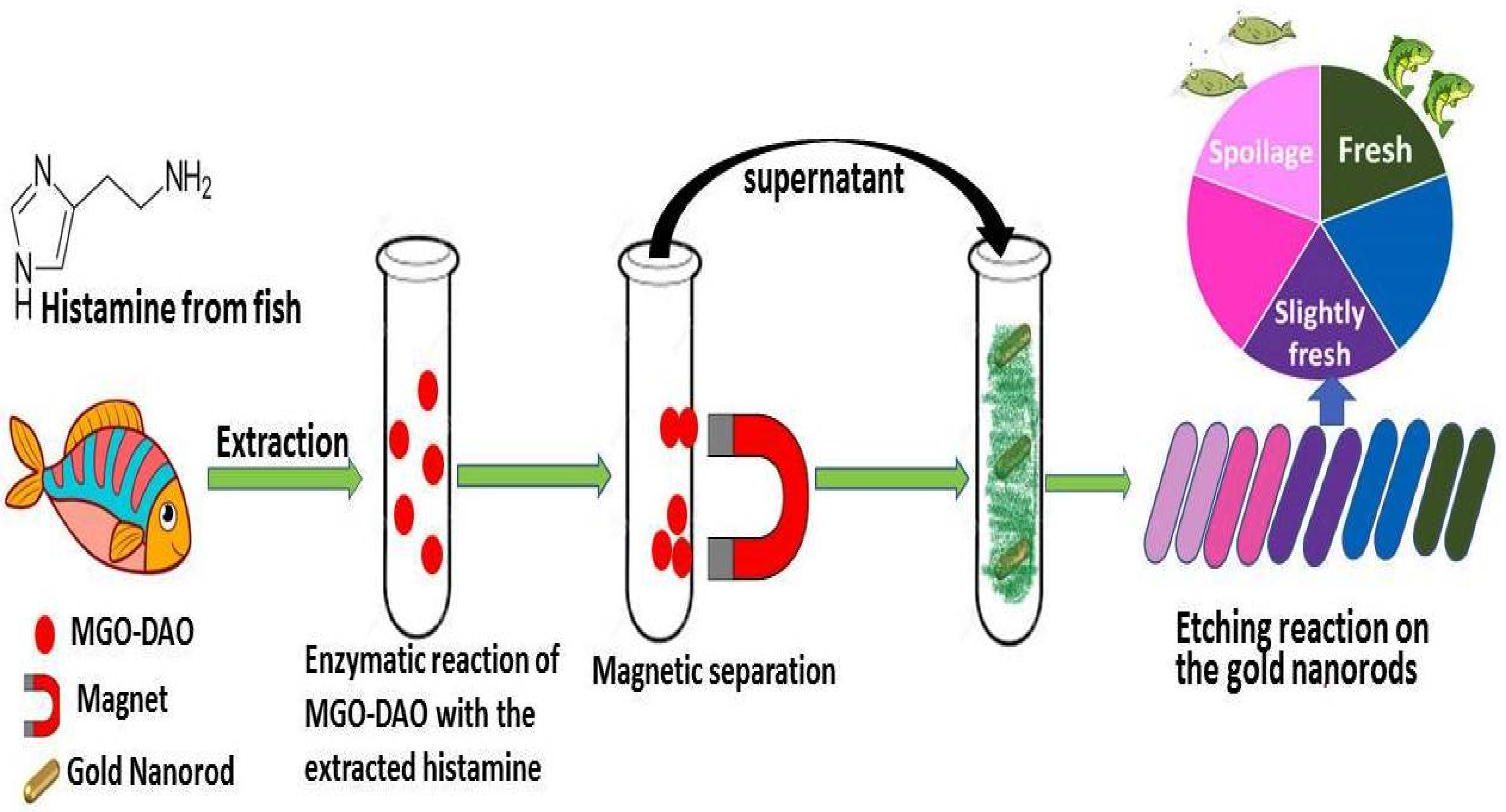 Chemosensors 14 00013 g011