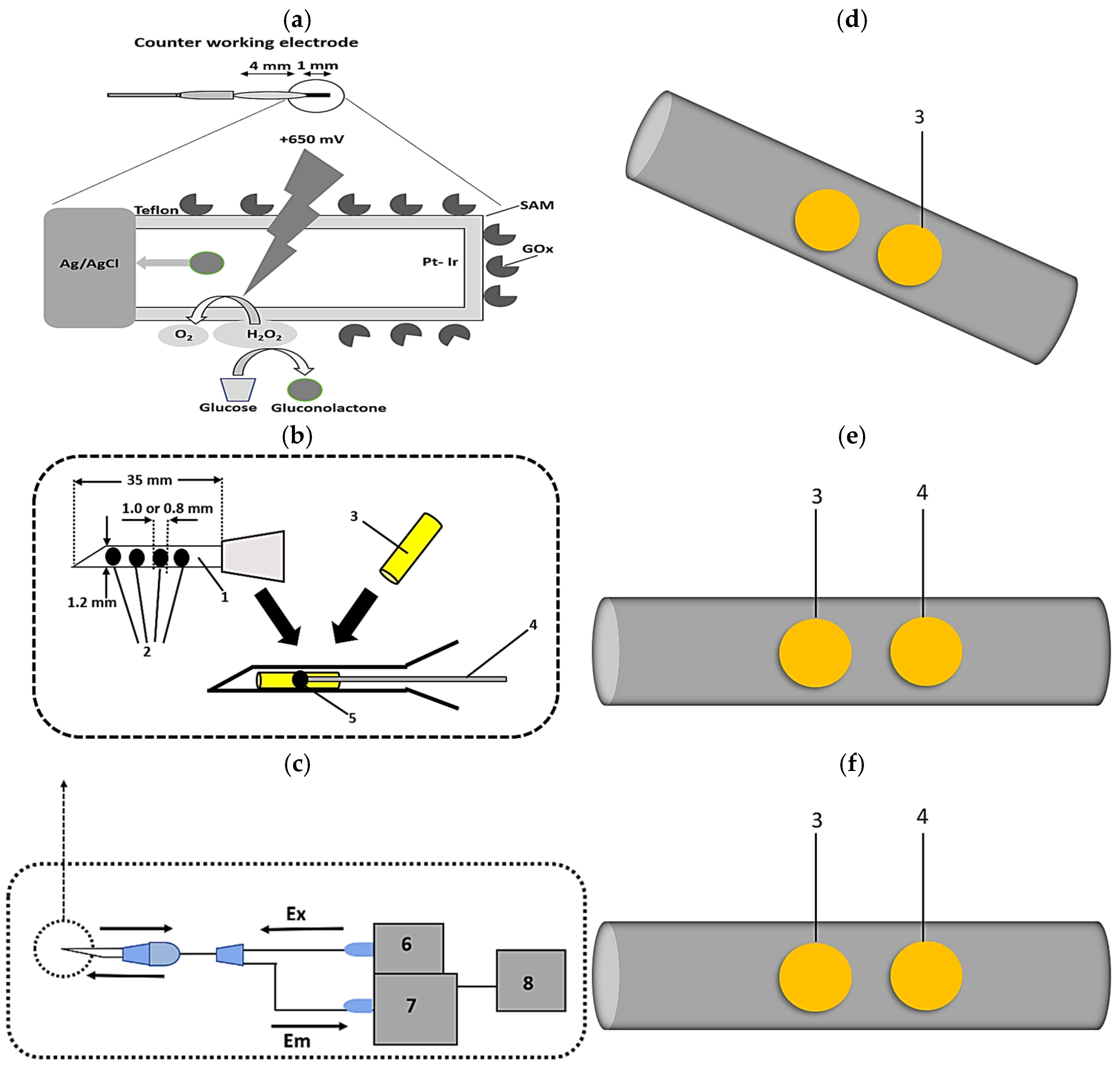 Chemosensors 14 00013 g012