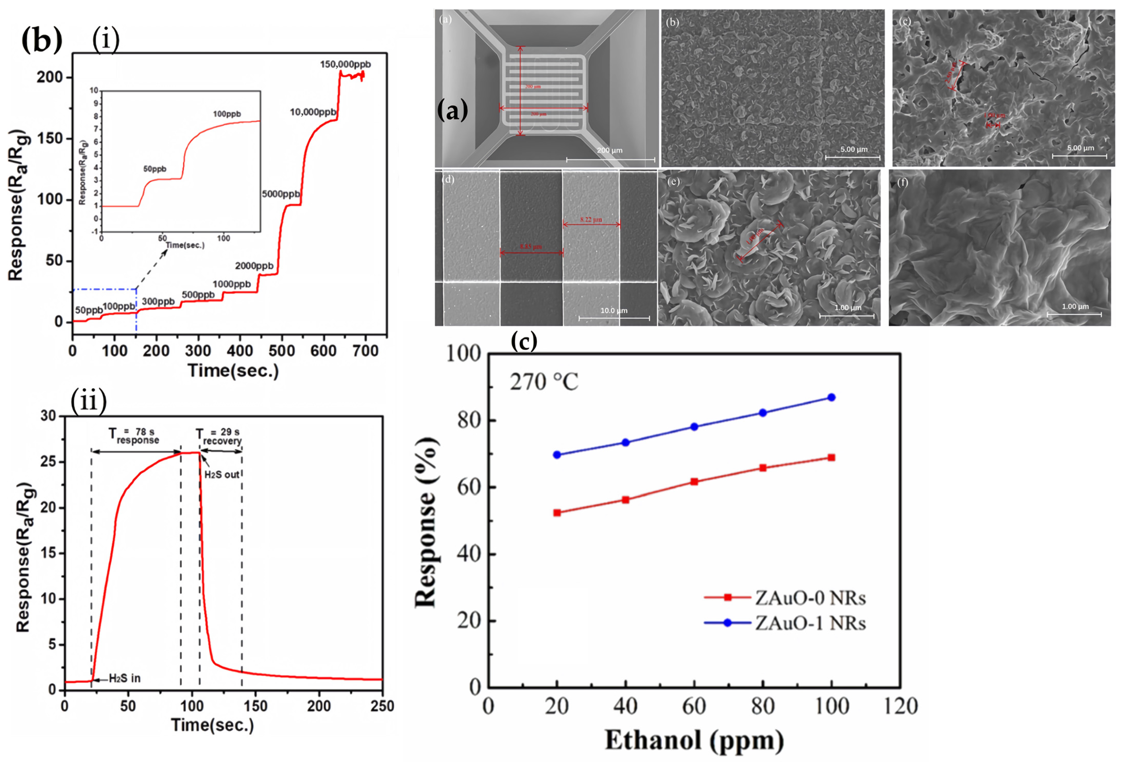 Chemosensors 14 00016 g006