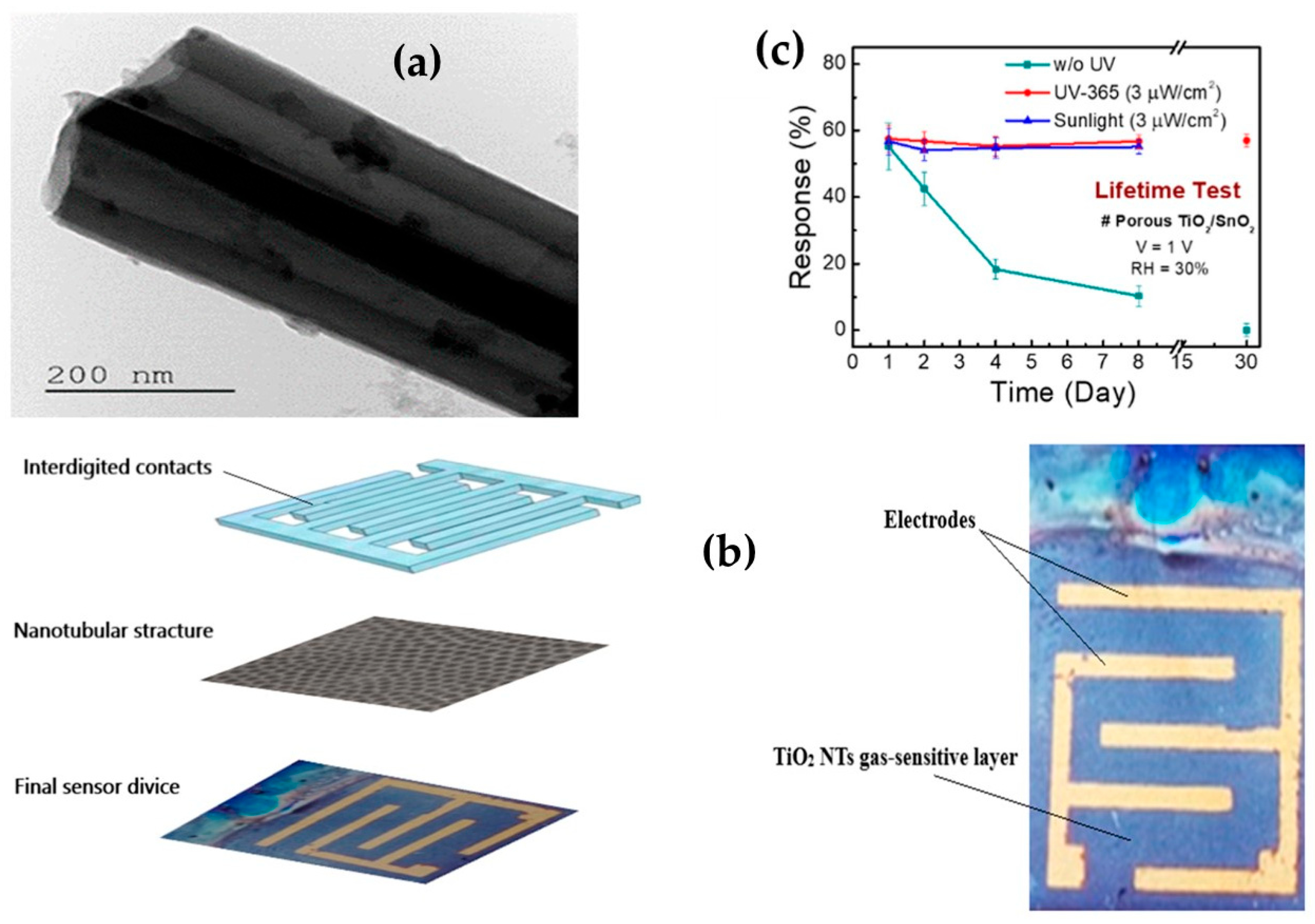 Chemosensors 14 00016 g007