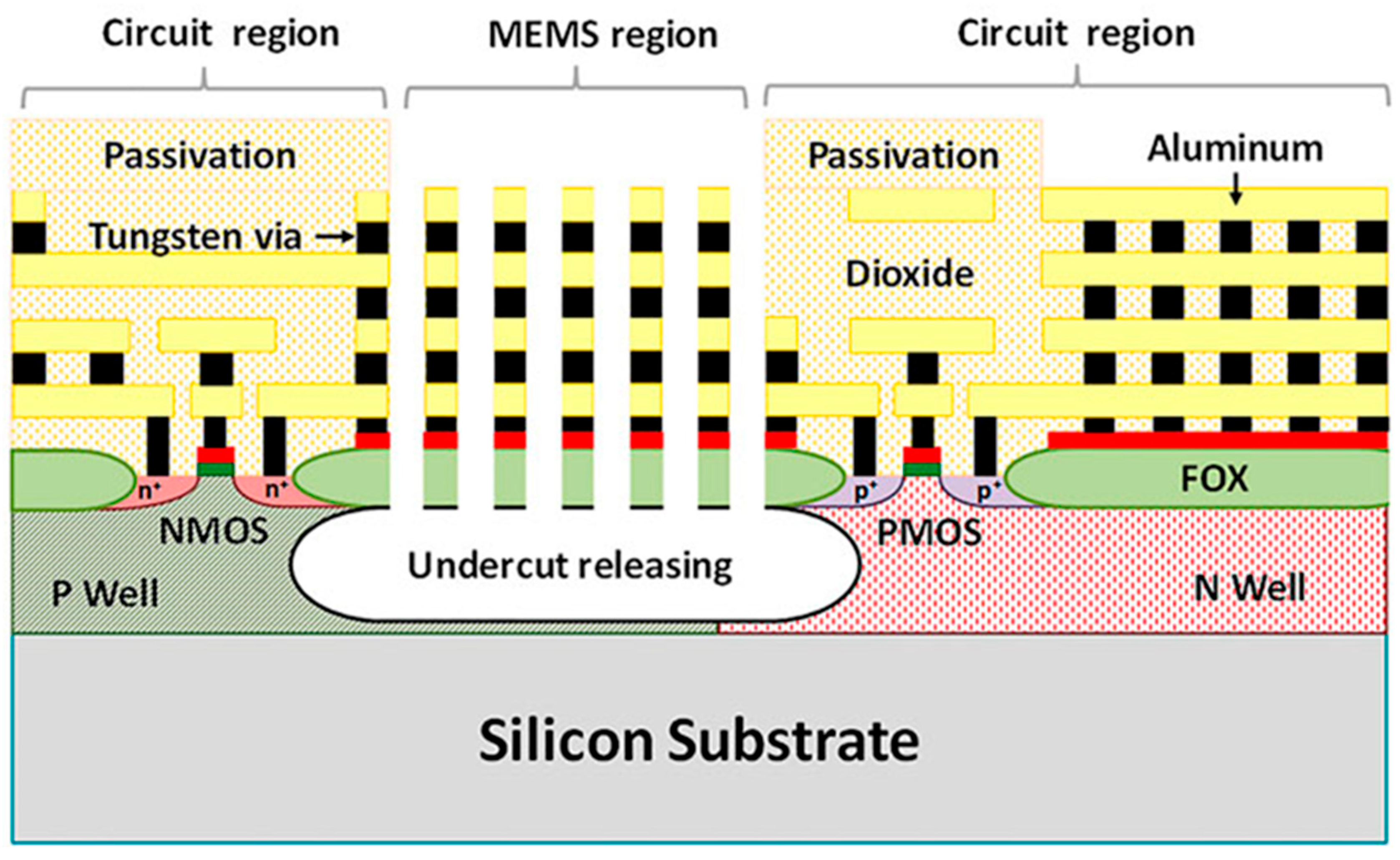Chemosensors 14 00016 g010