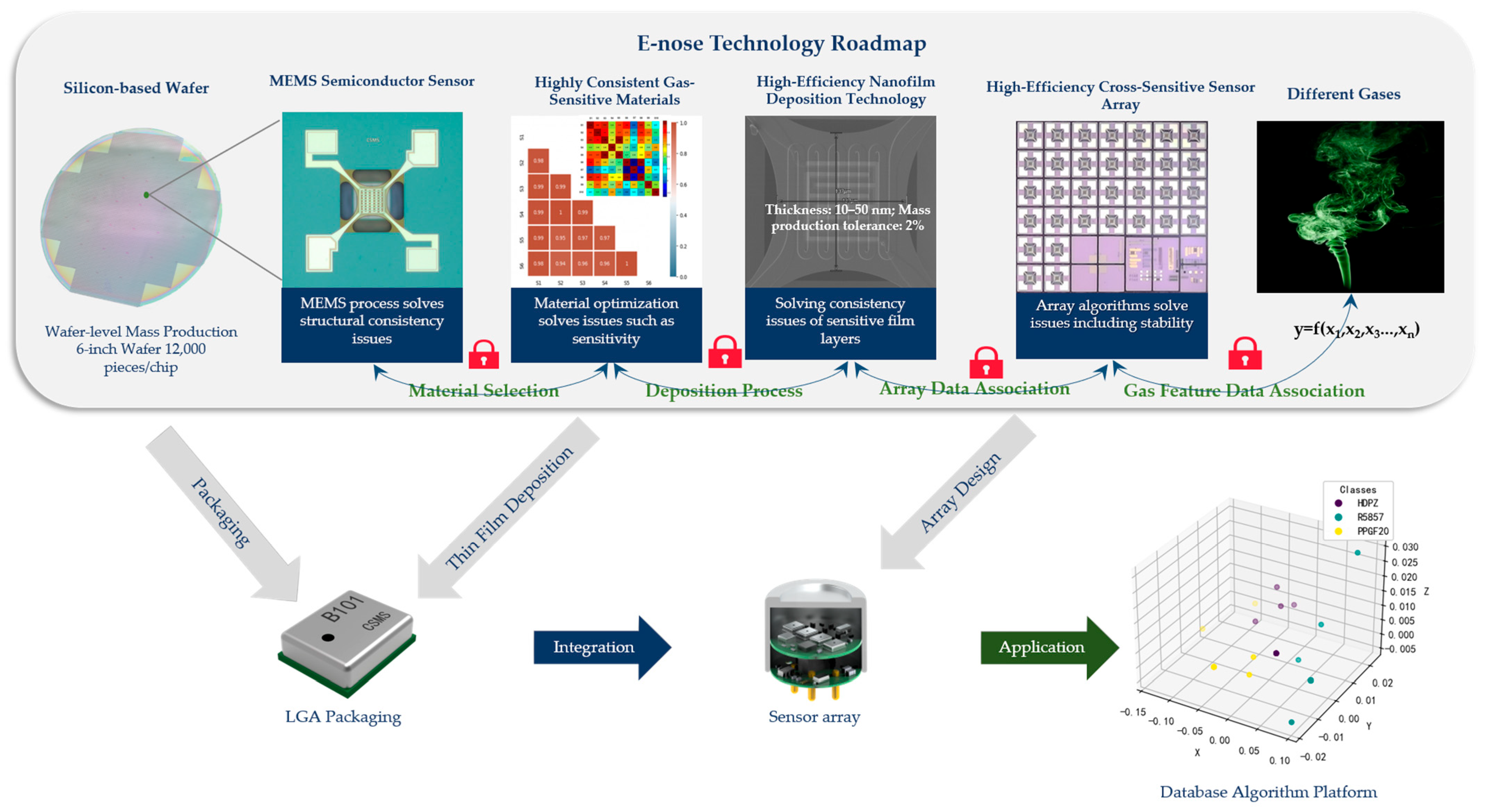 Chemosensors 14 00016 g012
