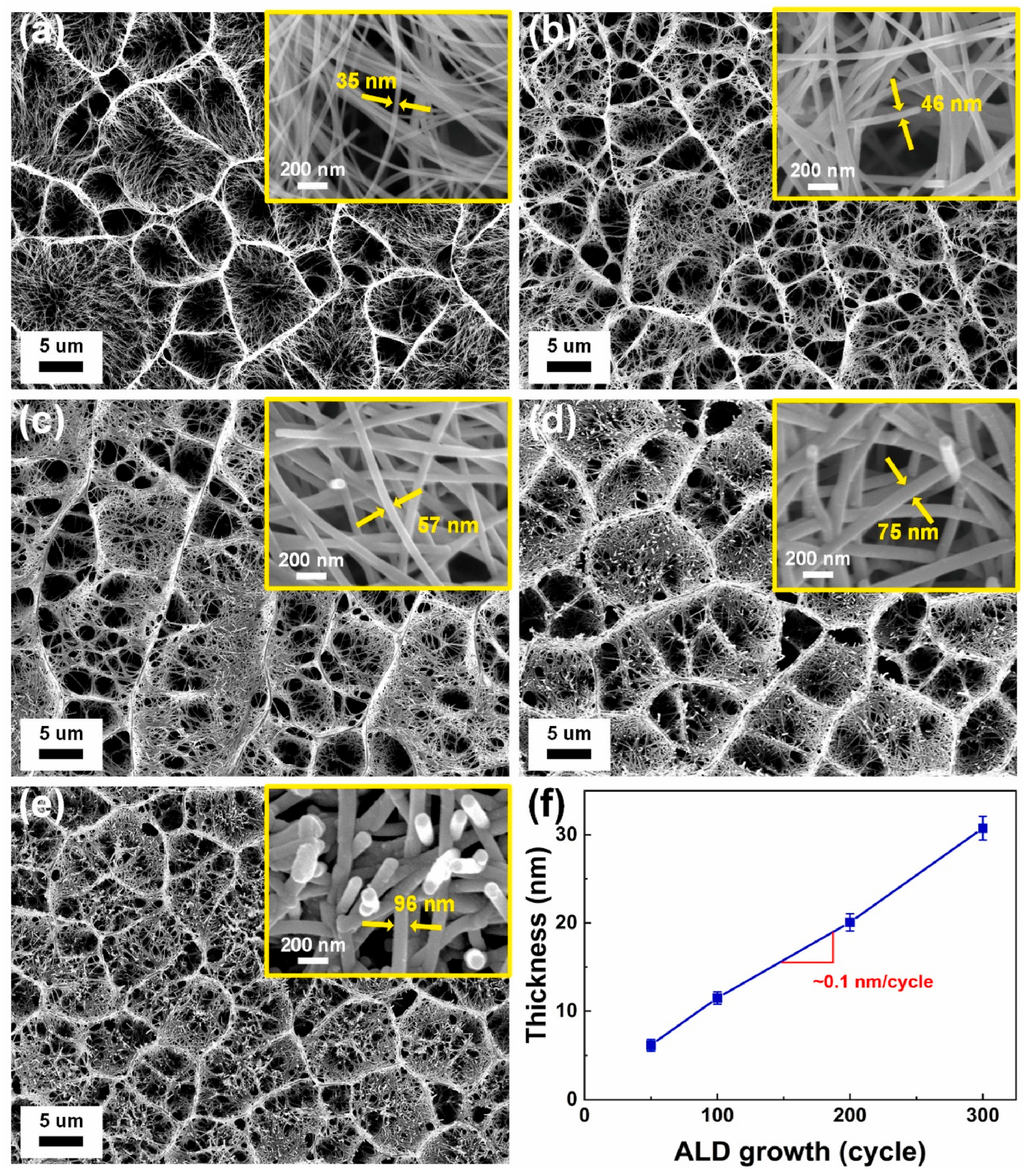 Chemosensors 14 00016 g013