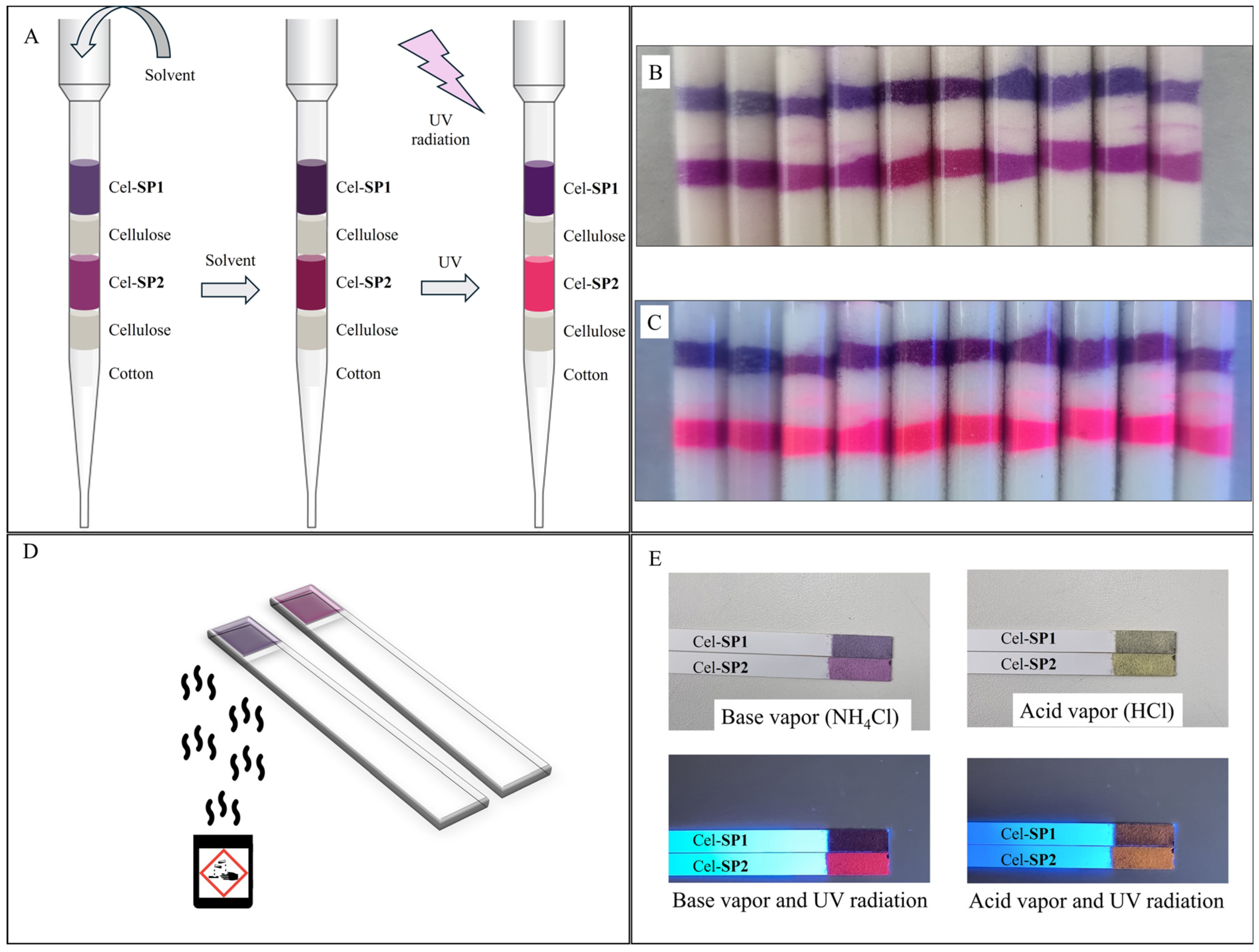 Chemosensors 14 00017 g007 Chemosensors 14 00017 g007