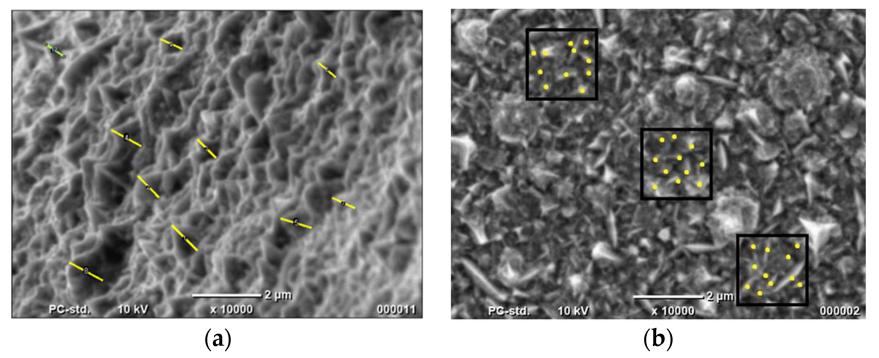 Chemproc 02 00012 g002 550