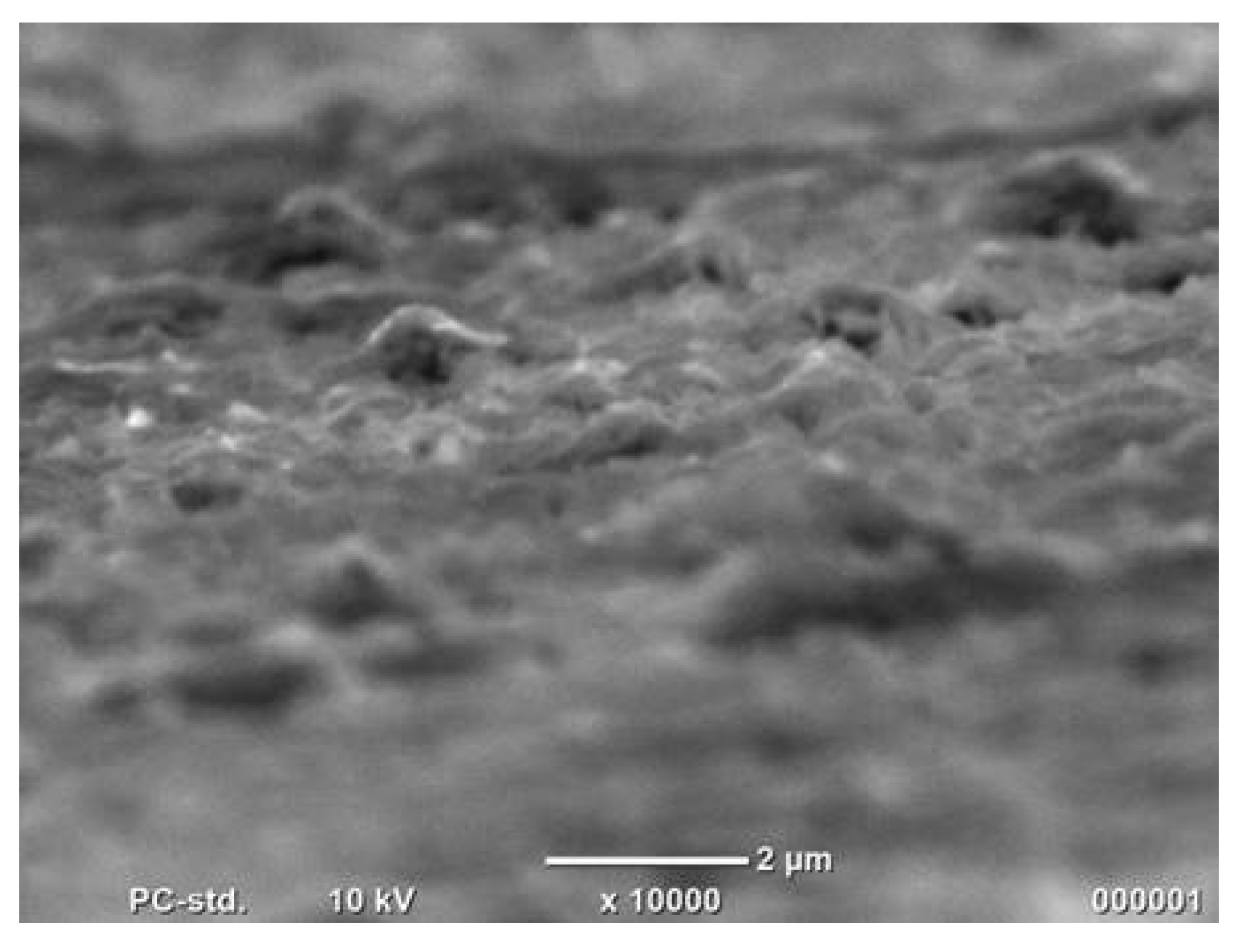 Chemproc 02 00012 g004 550