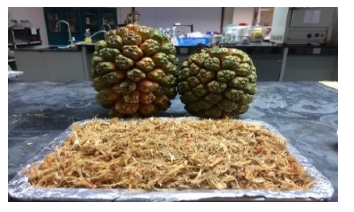 Chemproc 02 00014 g001