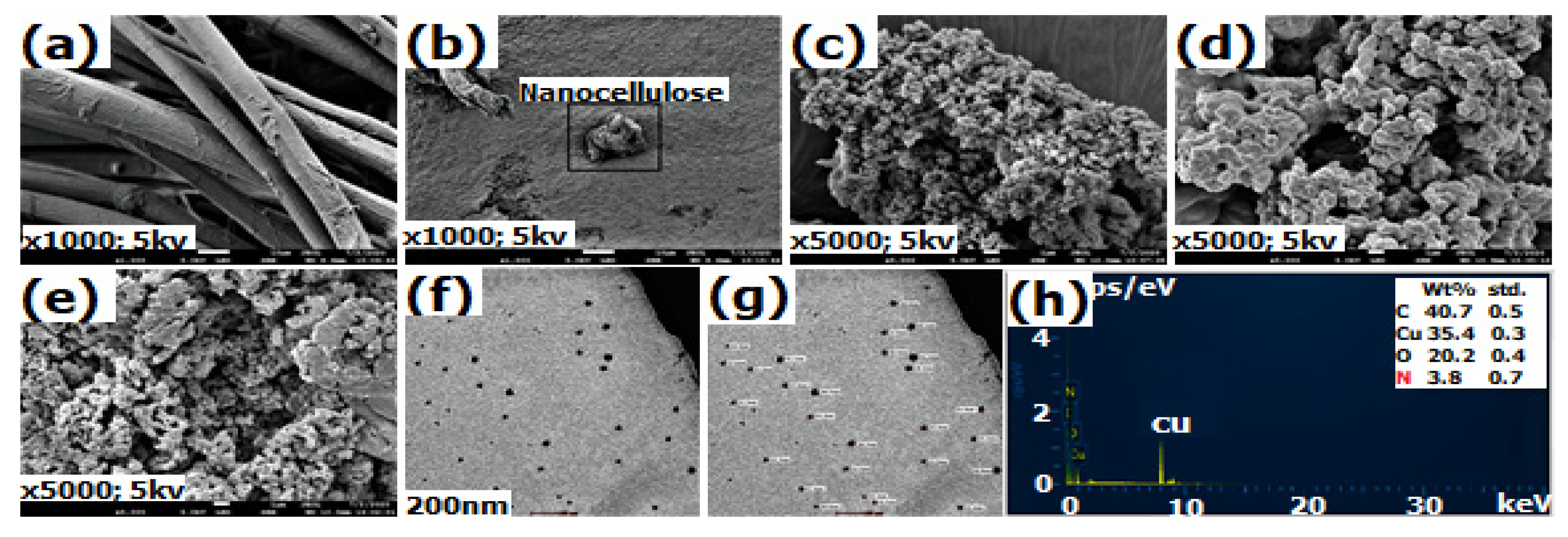 Chemproc 02 00014 g002