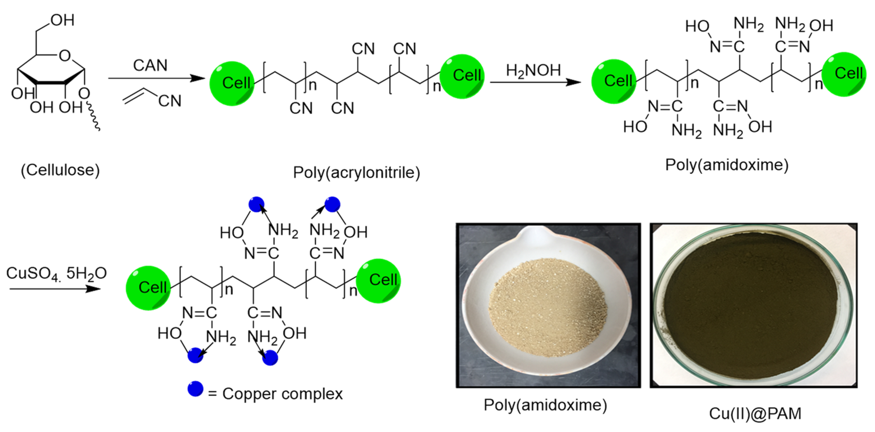 Chemproc 02 00014 sch001