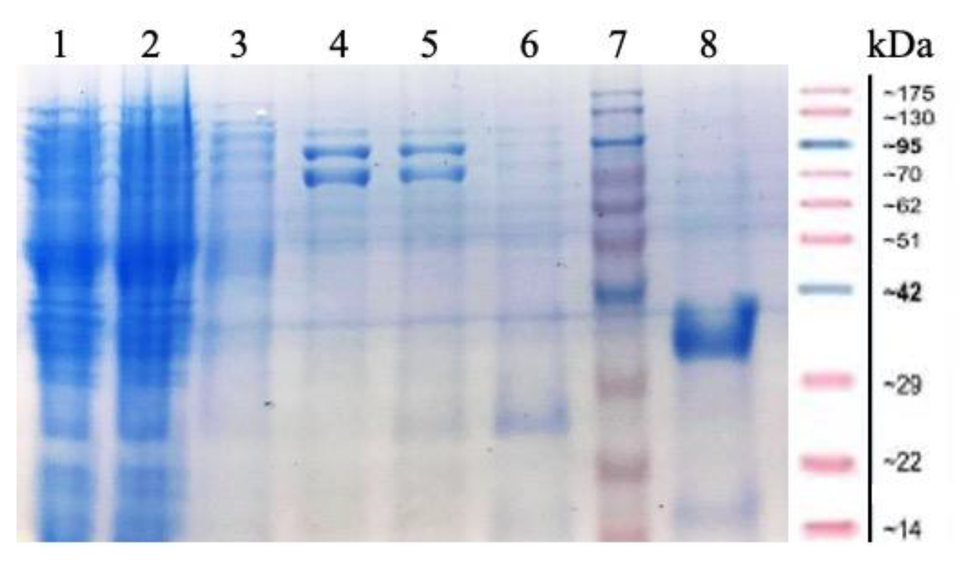 Chemproc 02 00033 g001