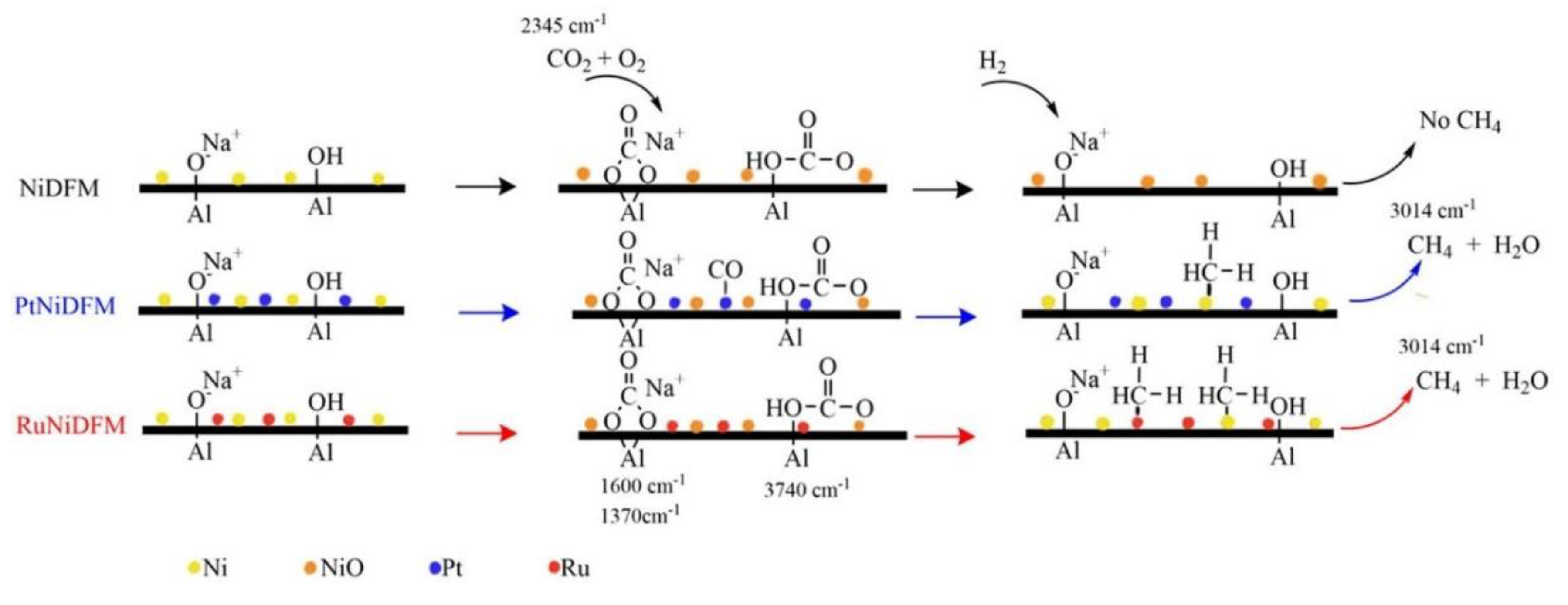 Chemproc 02 00035 g002
