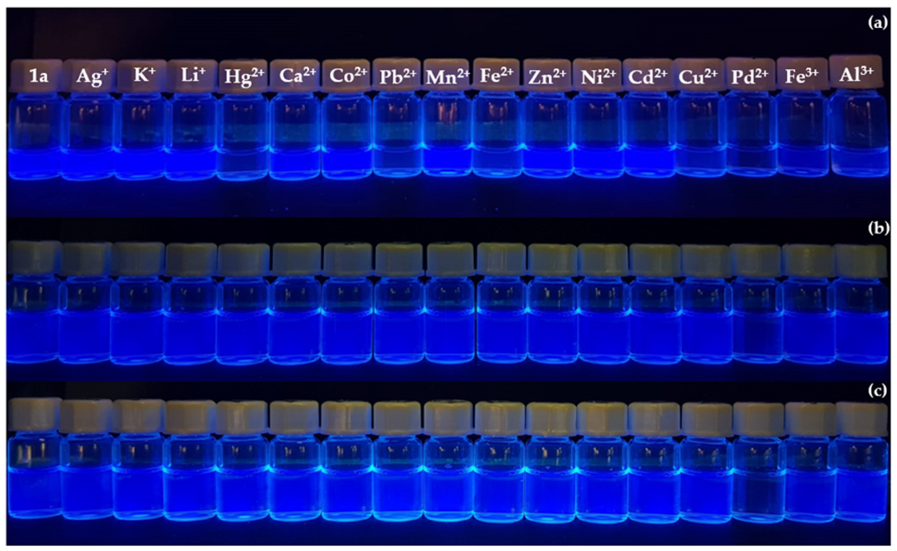 Chemproc 03 00005 g002