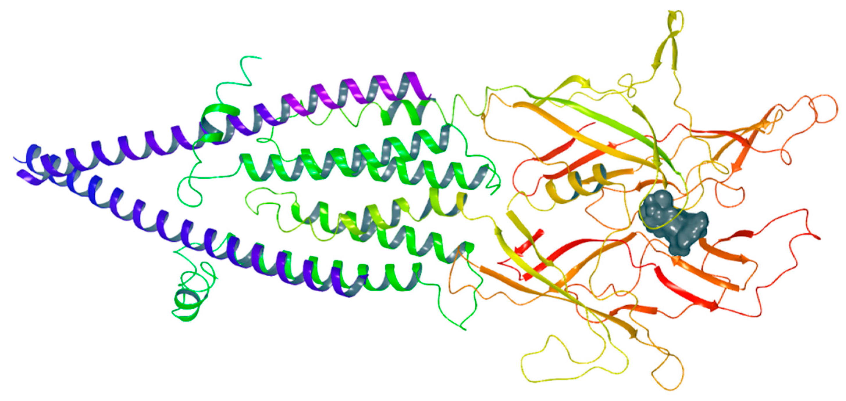 Chemproc 03 00008 g004