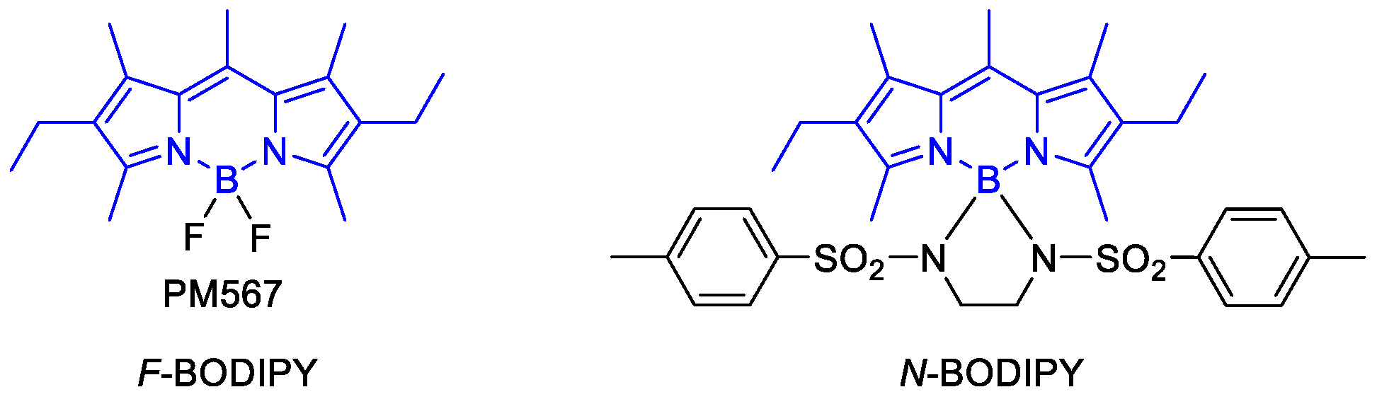 Chemproc 03 00015 g001
