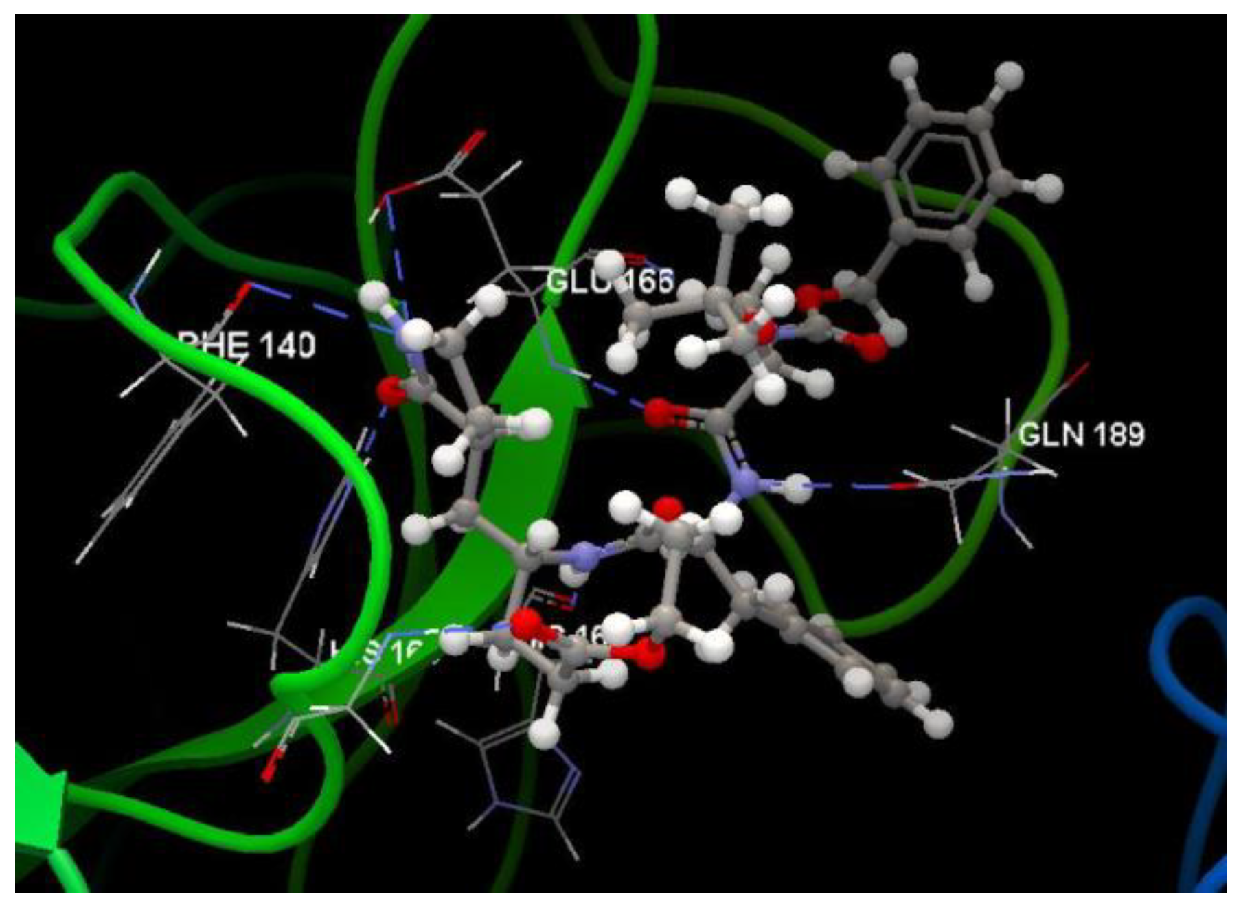 Chemproc 03 00016 g010