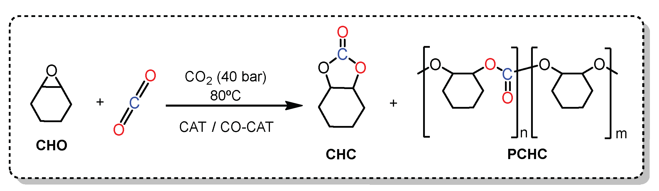 Chemproc 03 00017 i002