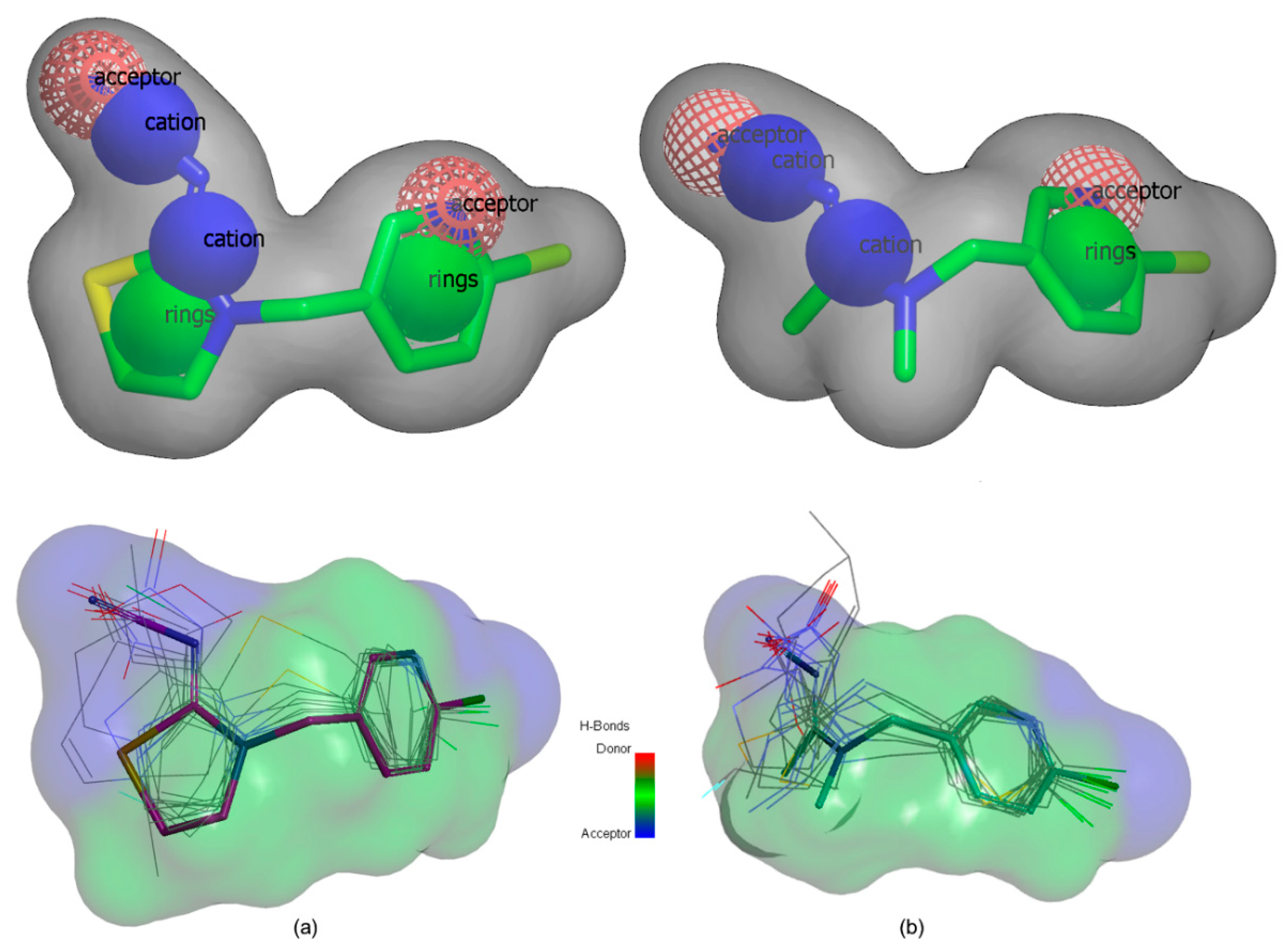 Chemproc 03 00022 g002