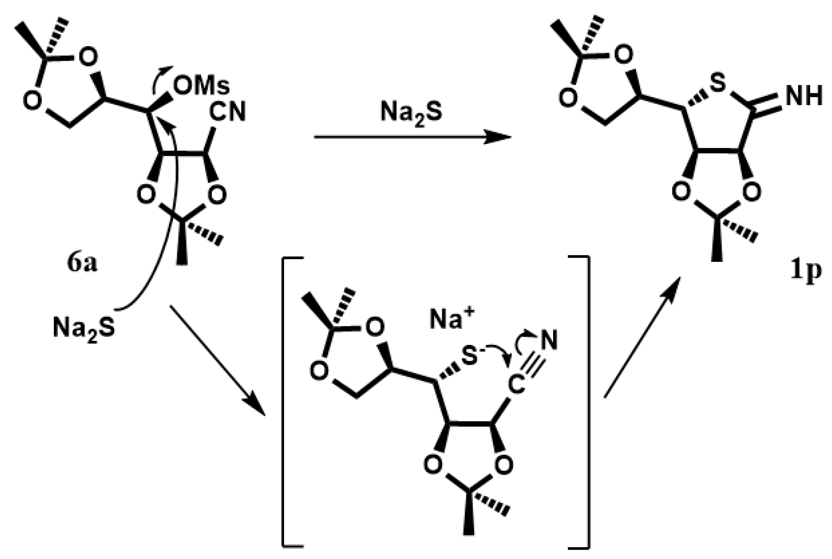 Chemproc 03 00028 sch003 550