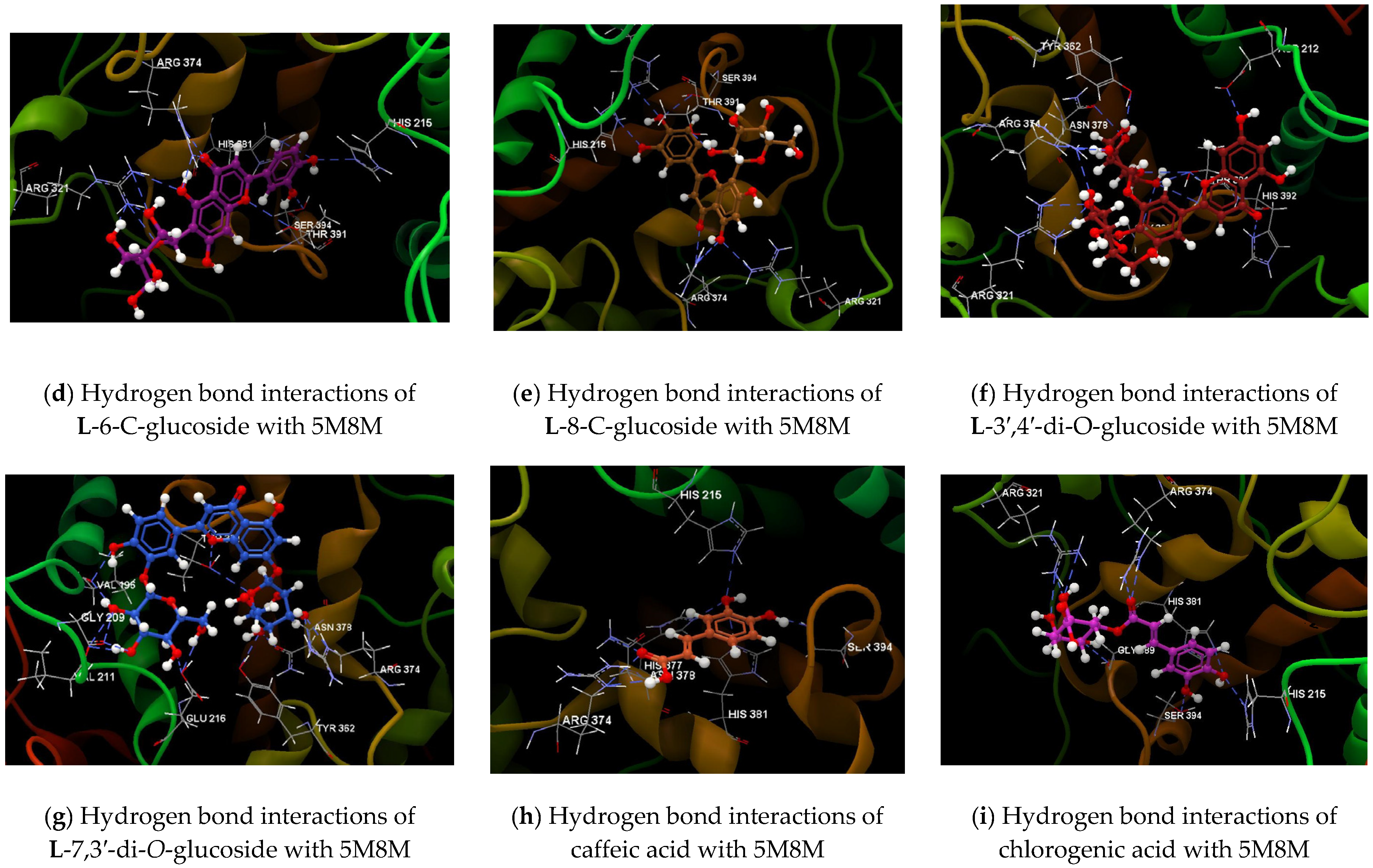 Chemproc 03 00042 g004b