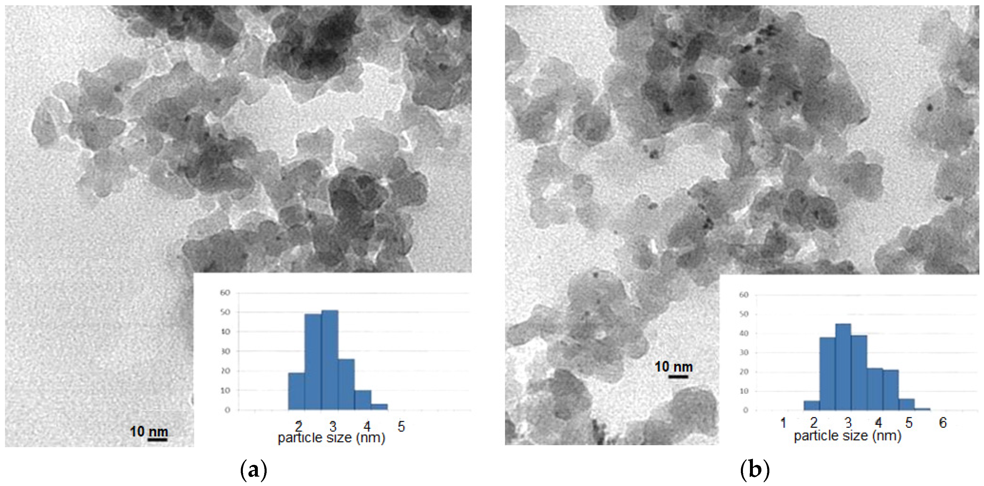 Chemproc 03 00043 g005