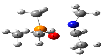 Chemproc 03 00047 i006