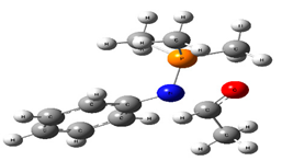Chemproc 03 00047 i011