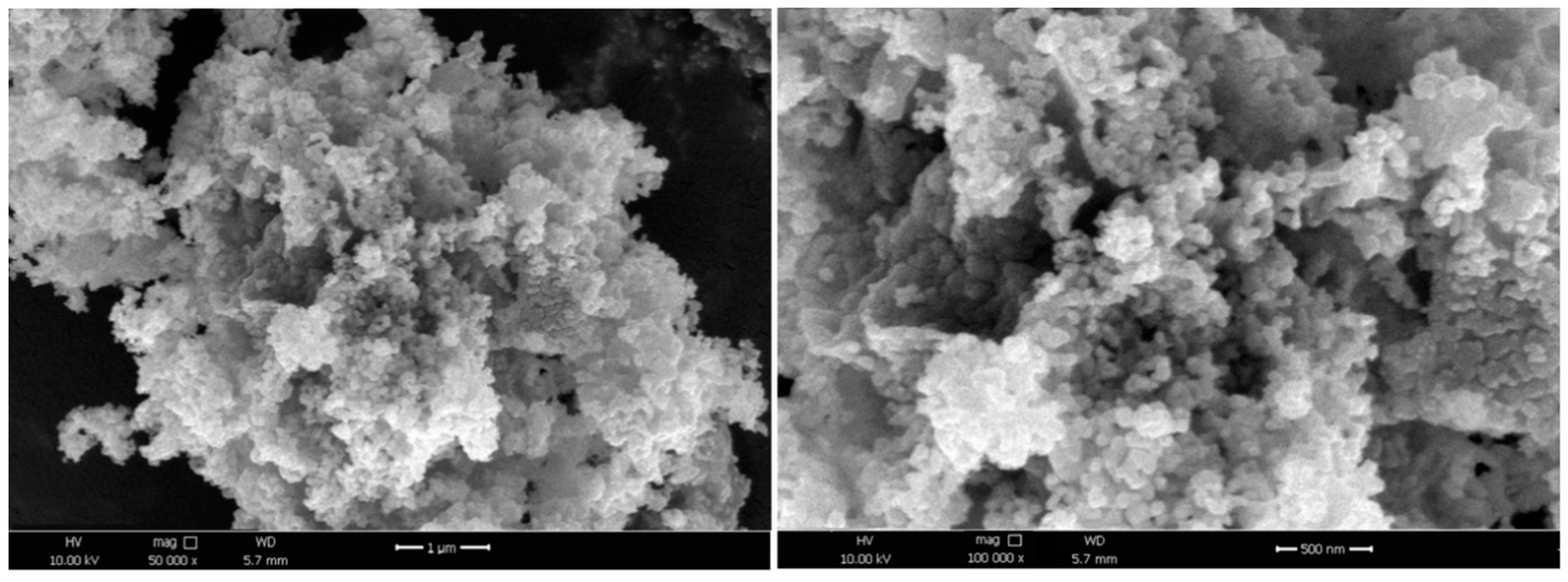 Chemproc 03 00060 g004 550