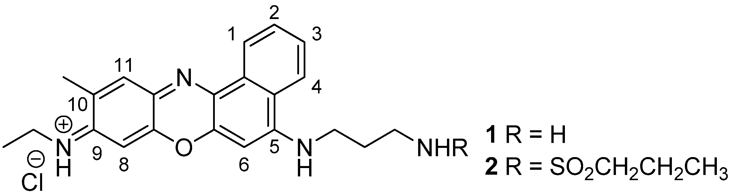 Chemproc 03 00063 g001 550
