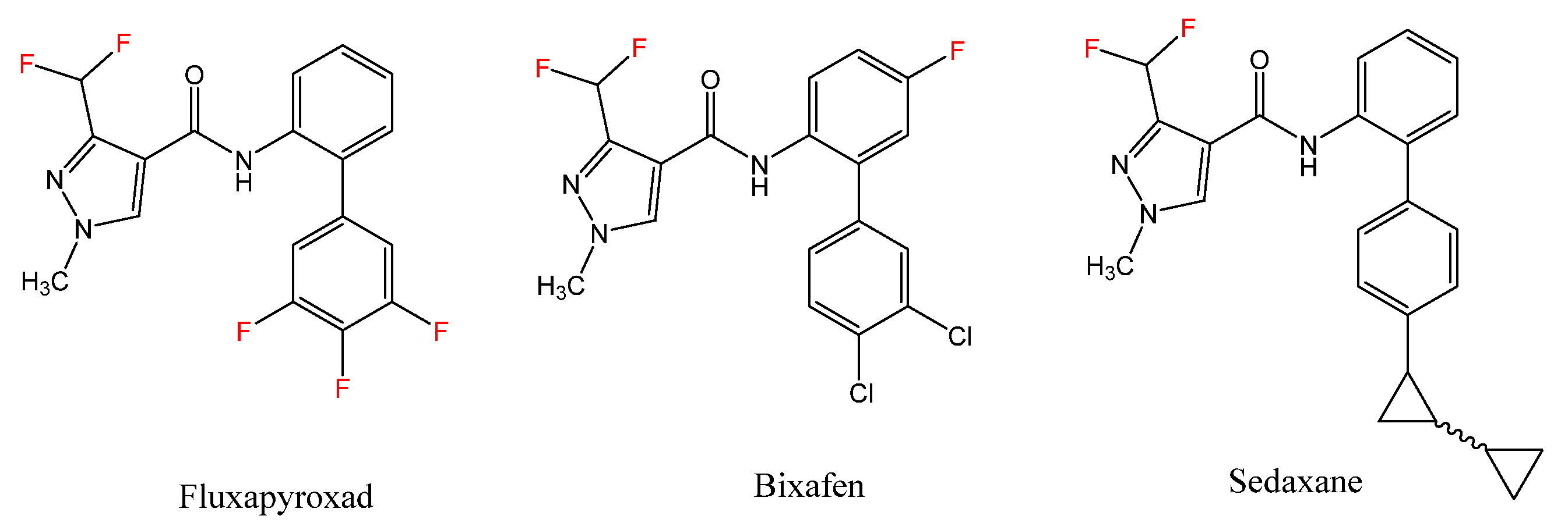 Chemproc 03 00064 g002 Chemproc 03 00064 g002