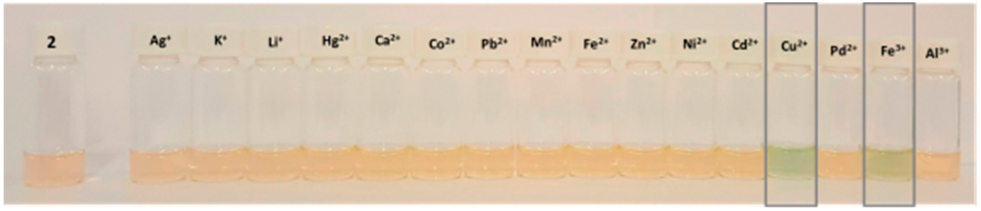 Chemproc 03 00065 g002