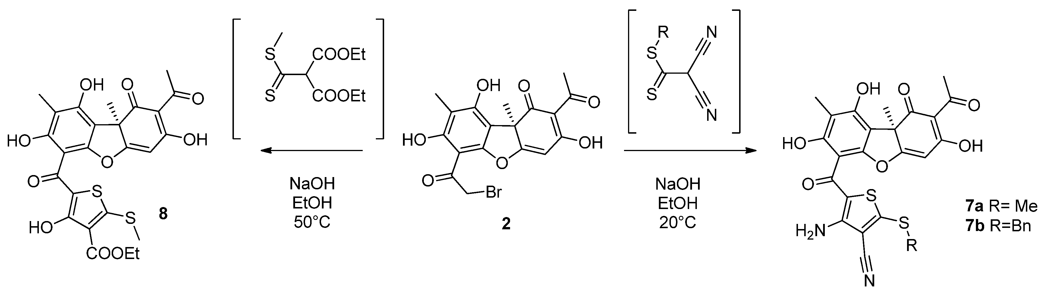 Chemproc 03 00066 sch002 550
