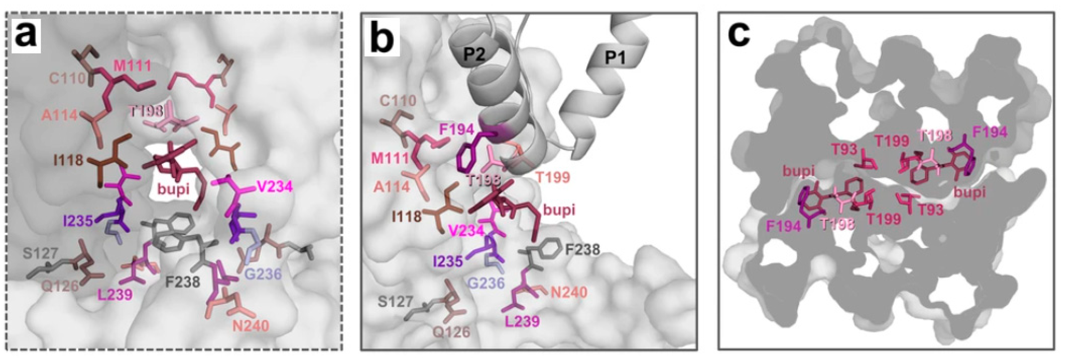 Chemproc 03 00067 g002 550