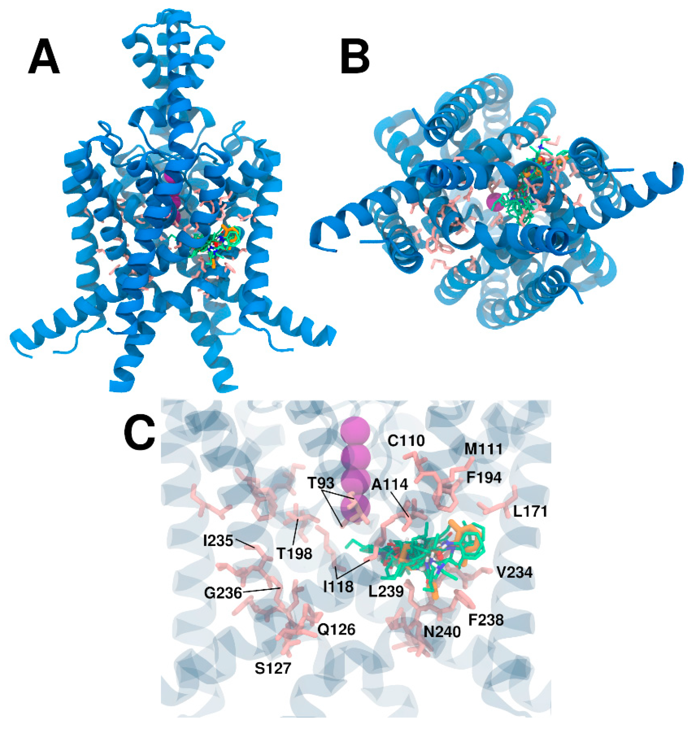 Chemproc 03 00067 g006 550