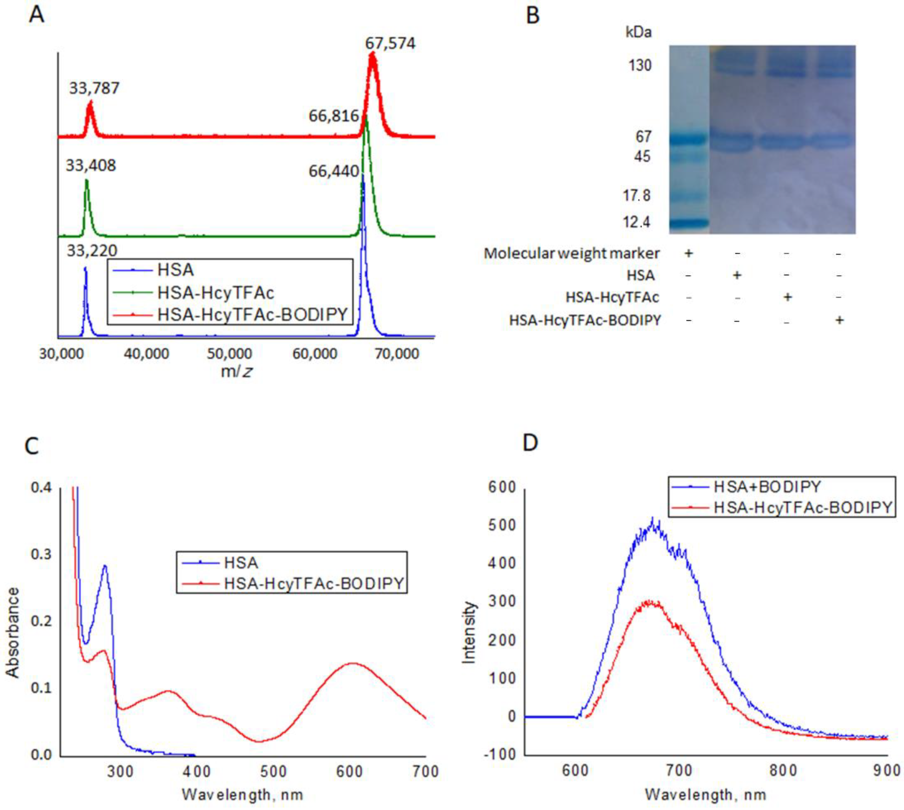 Chemproc 03 00072 g002